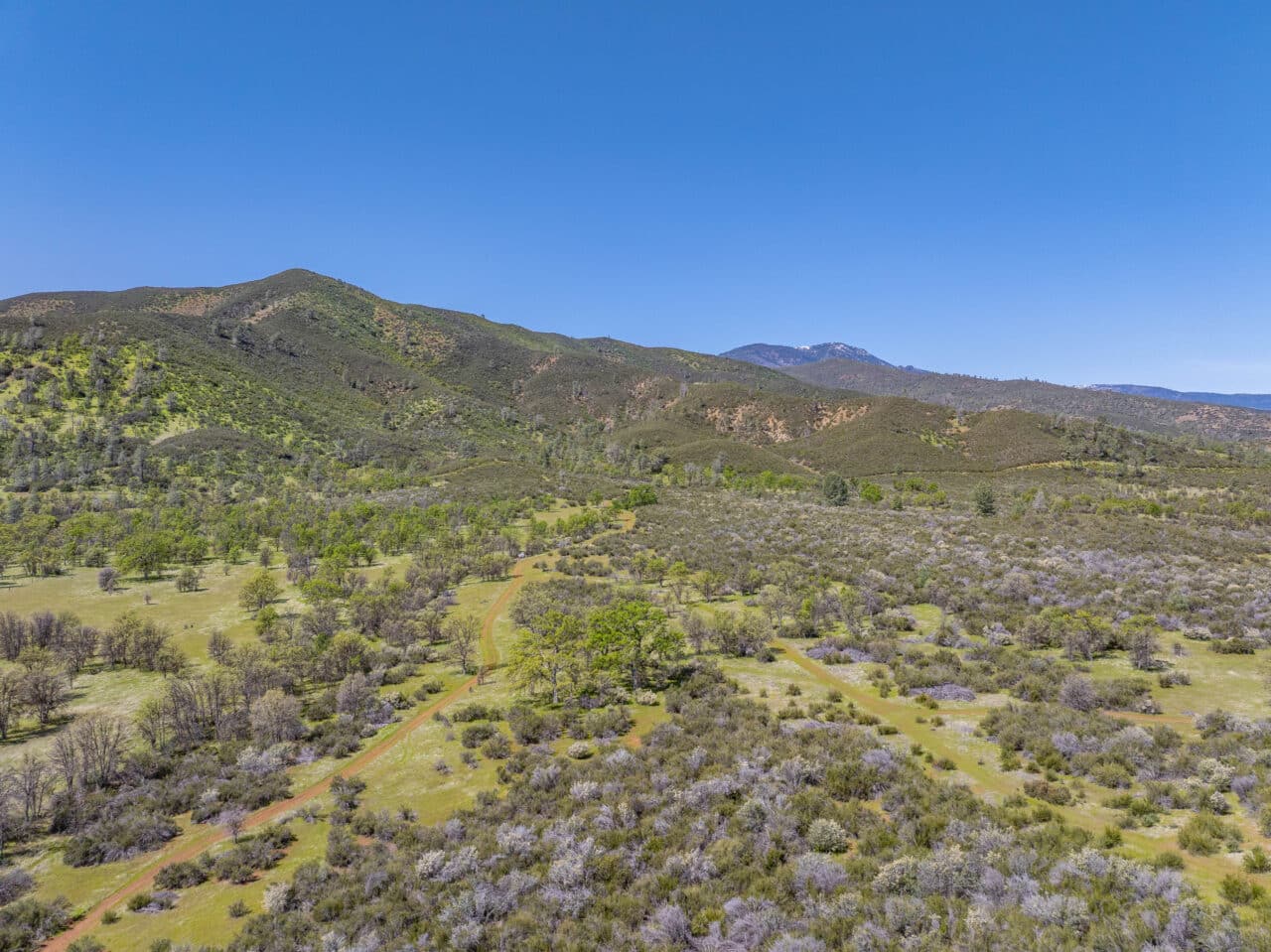 Listing Image 84
