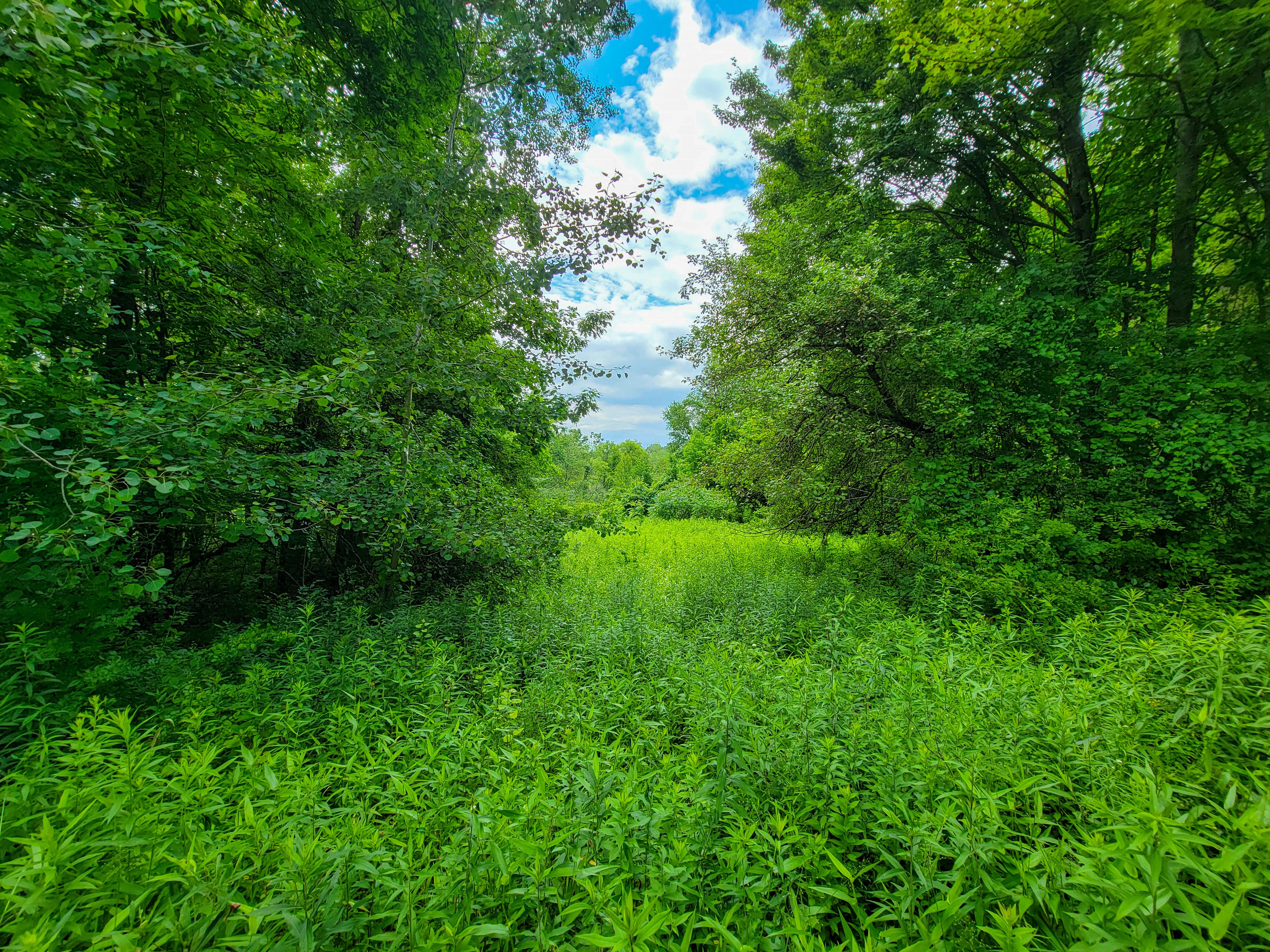 1073 Chapel Rd - Bennington