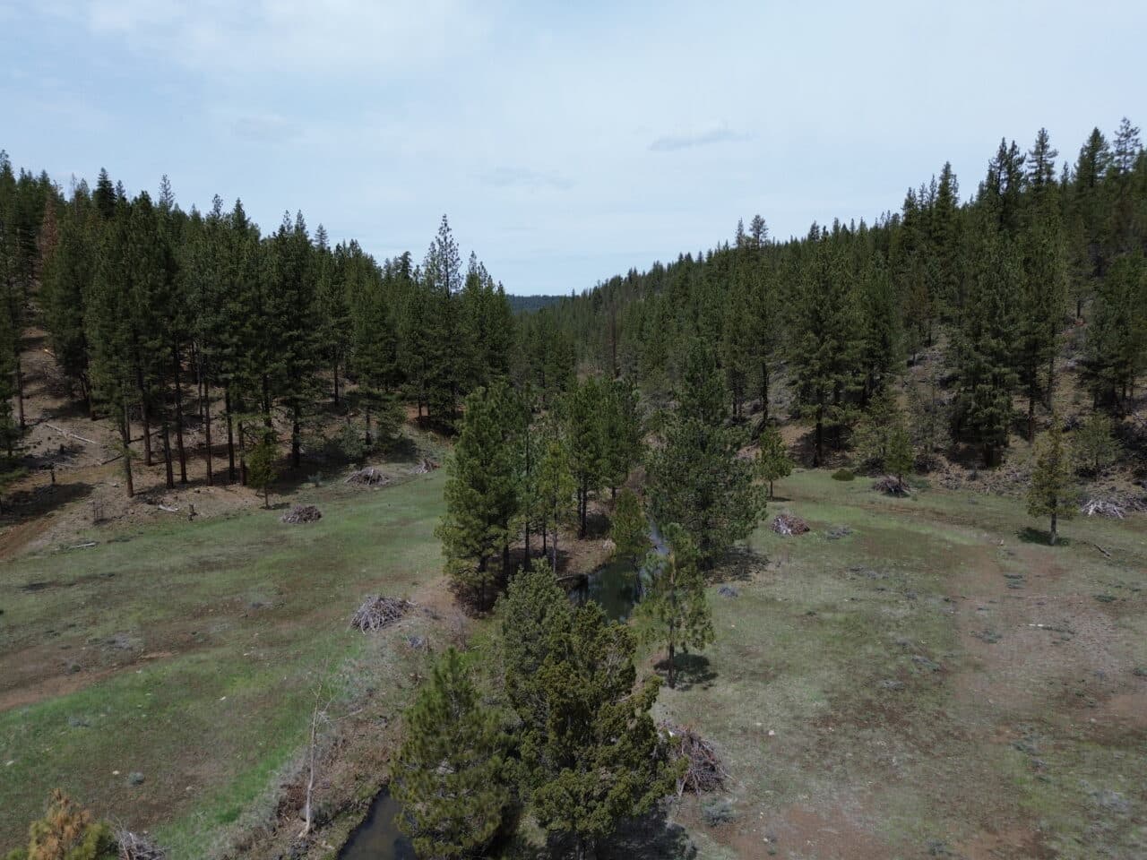 Johnson Creek Meadow