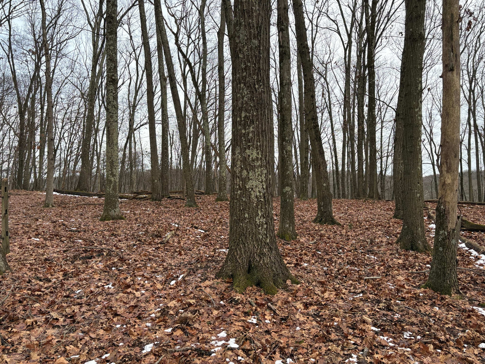 Listing Image 29