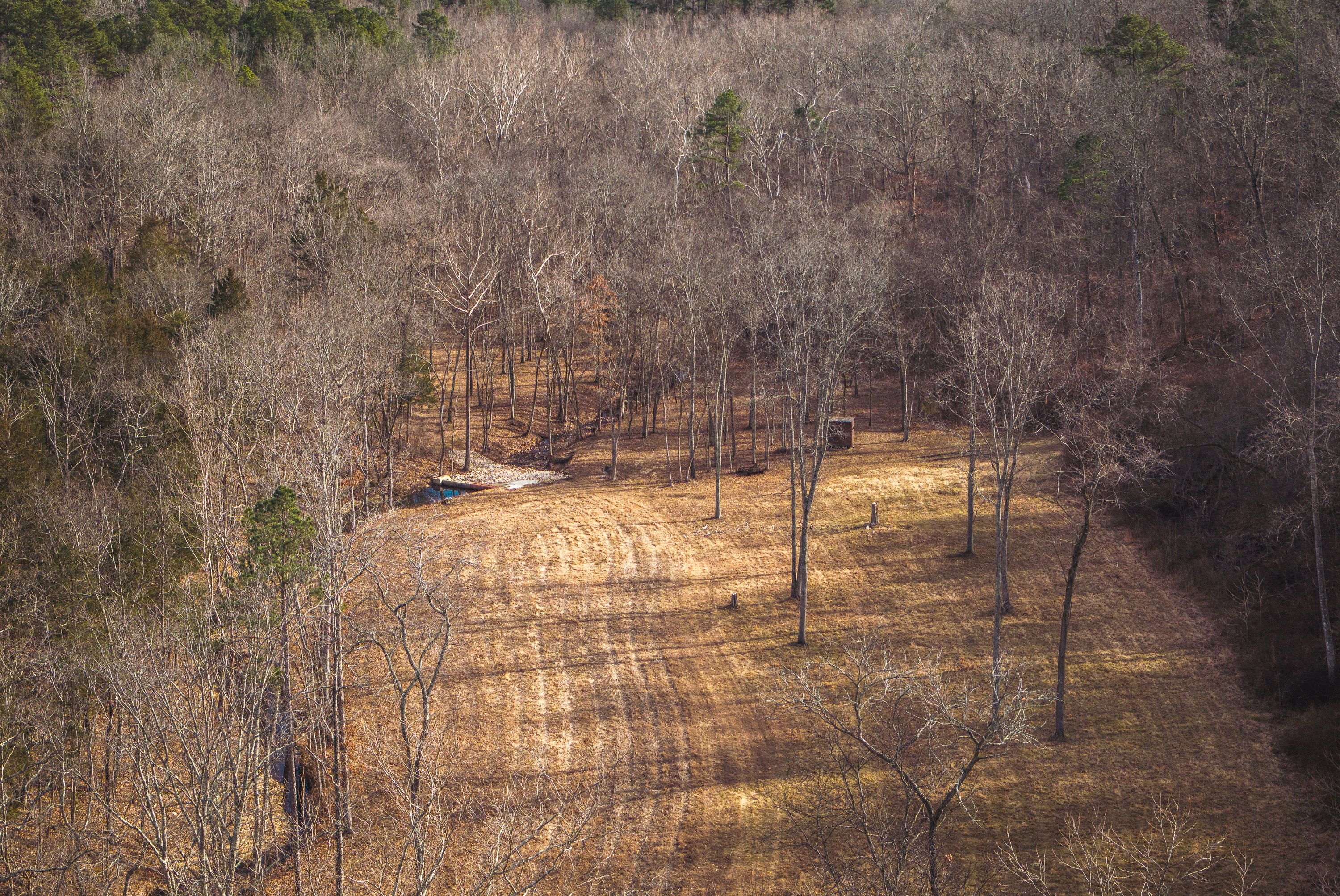 Curly Hole Camp at Peterball Spring
