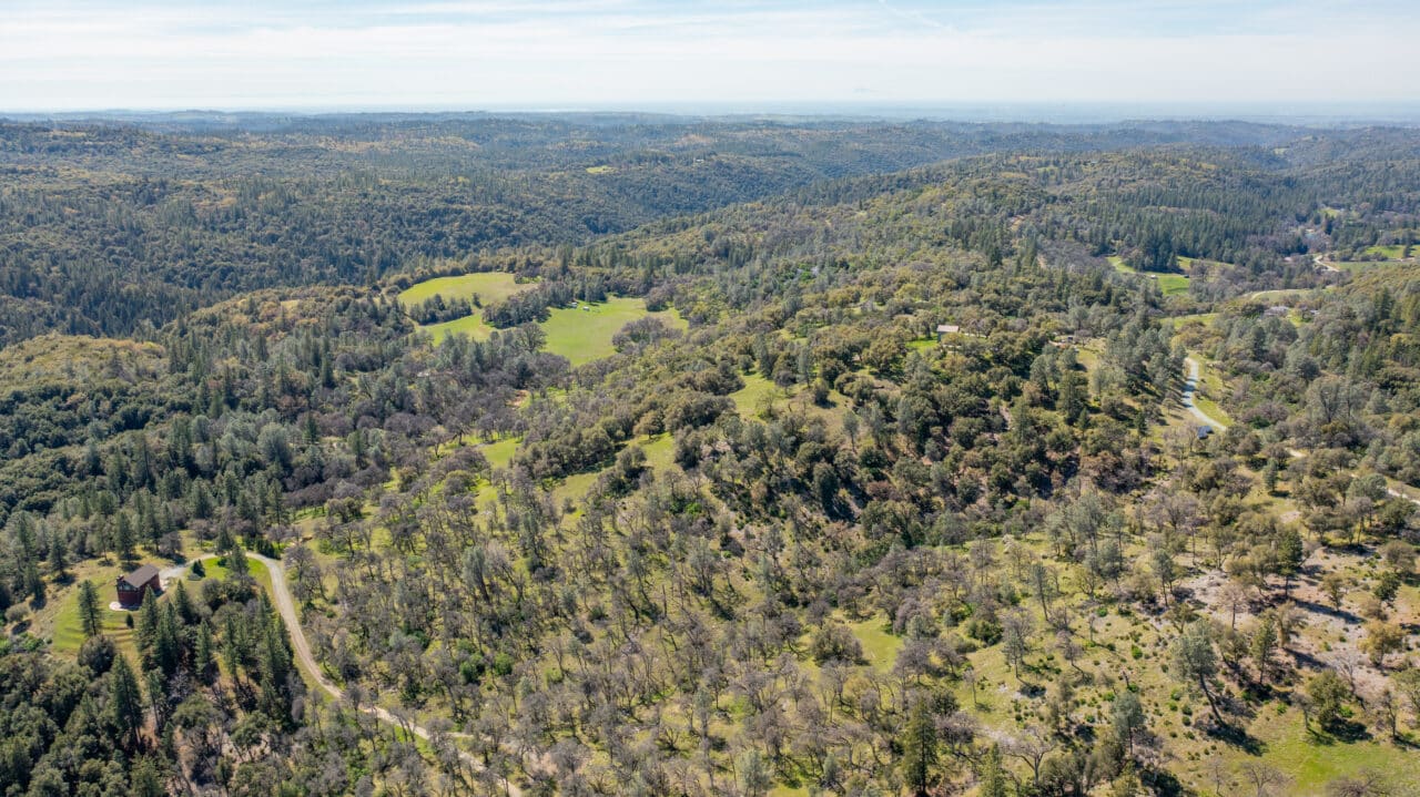 Oakridge Estate