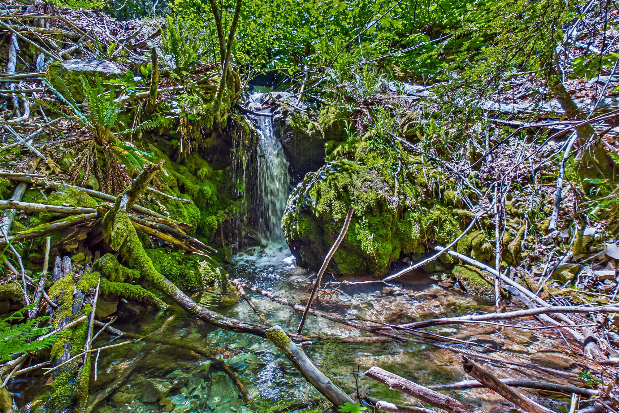 Listing Image 8