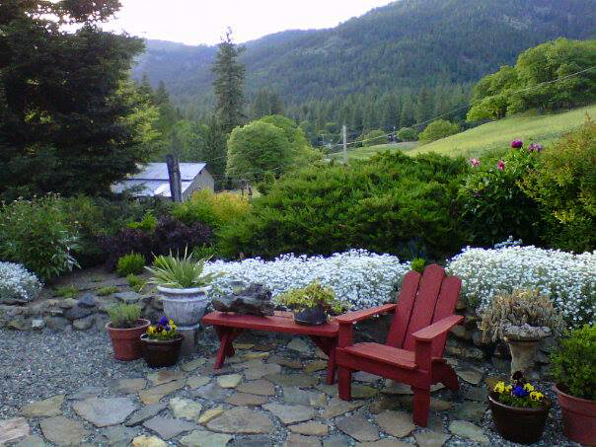 Listing Image 55