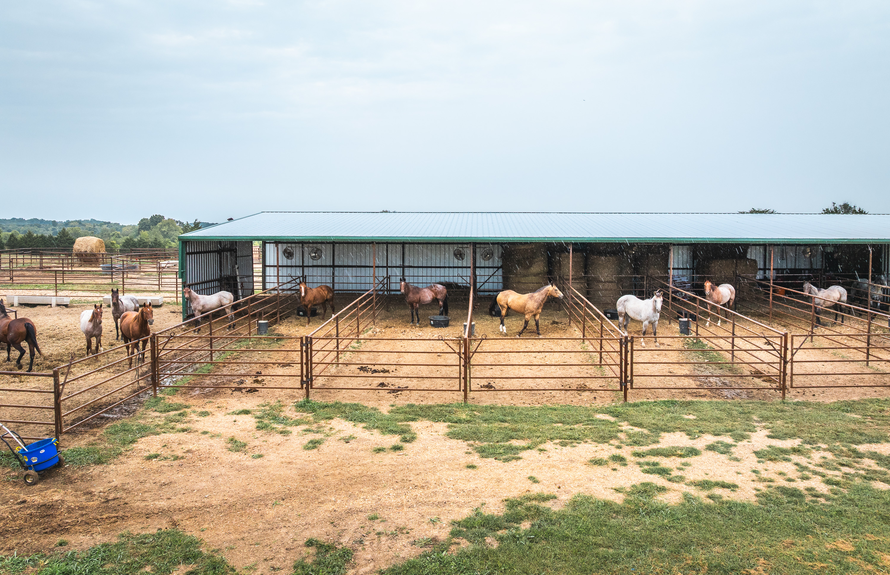 Twin Creek Farm