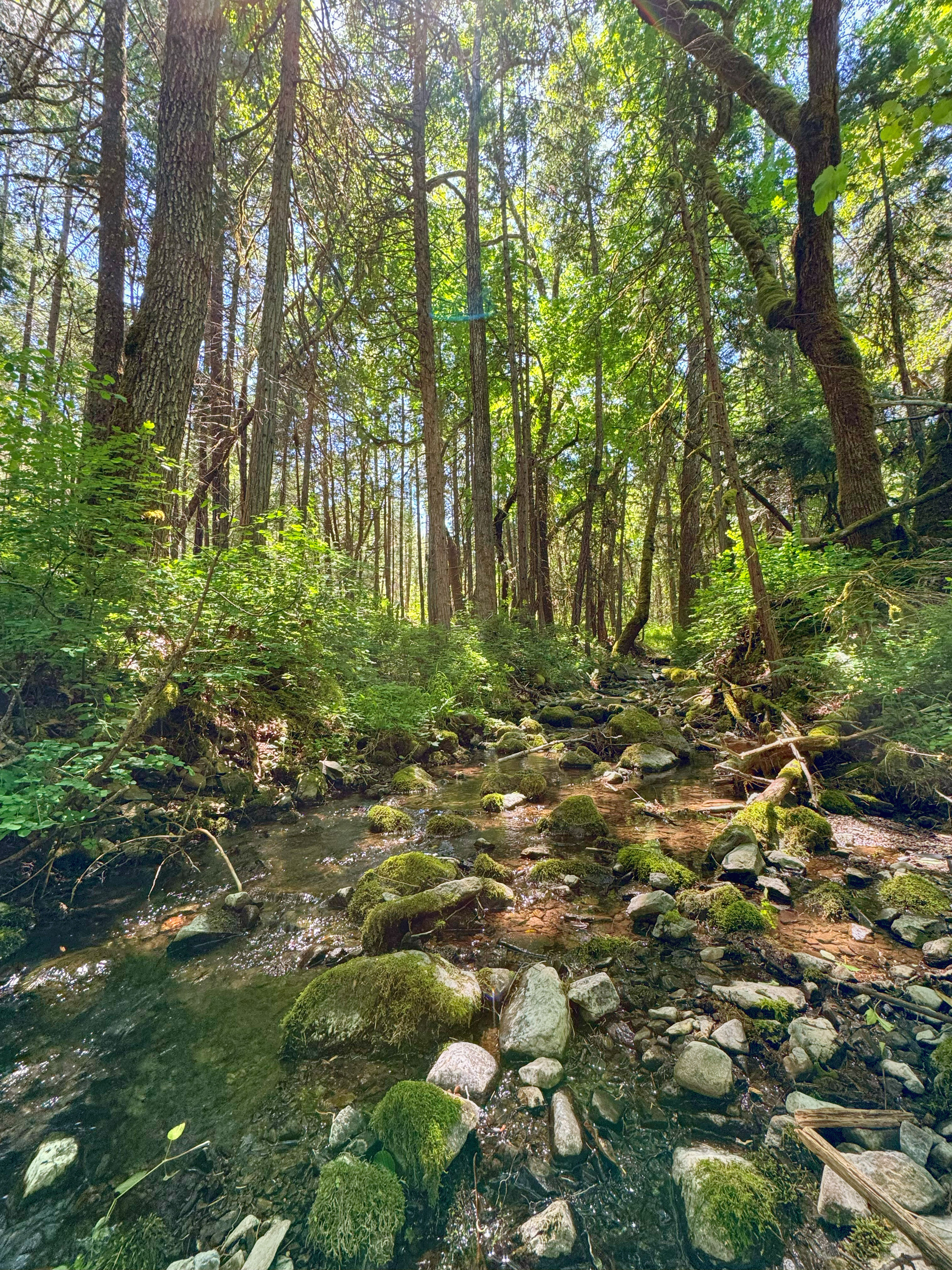 Listing Image 56