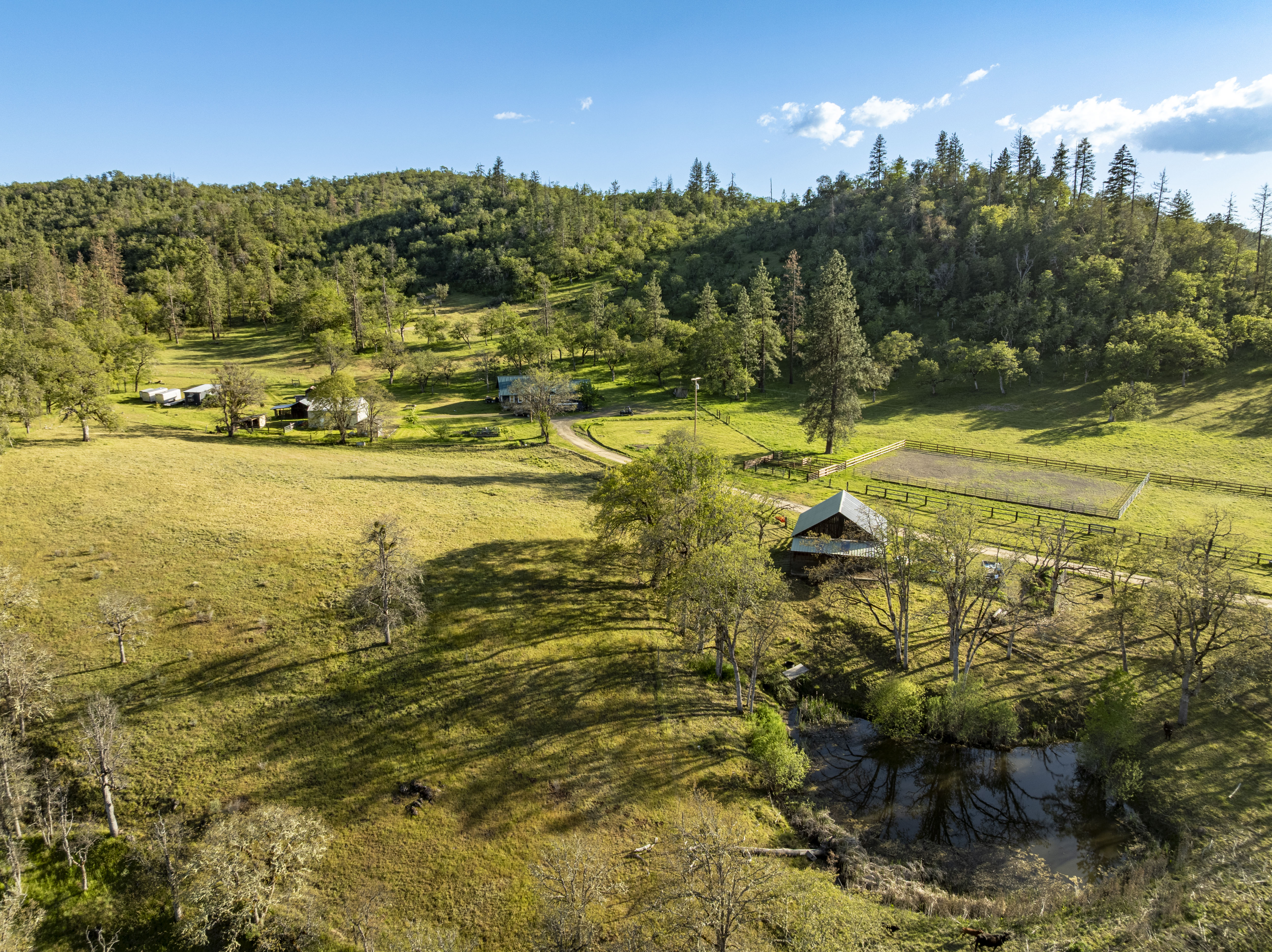 Listing Image 43