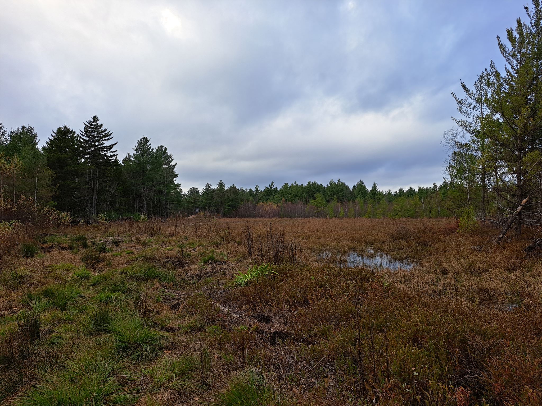 Listing Image 36