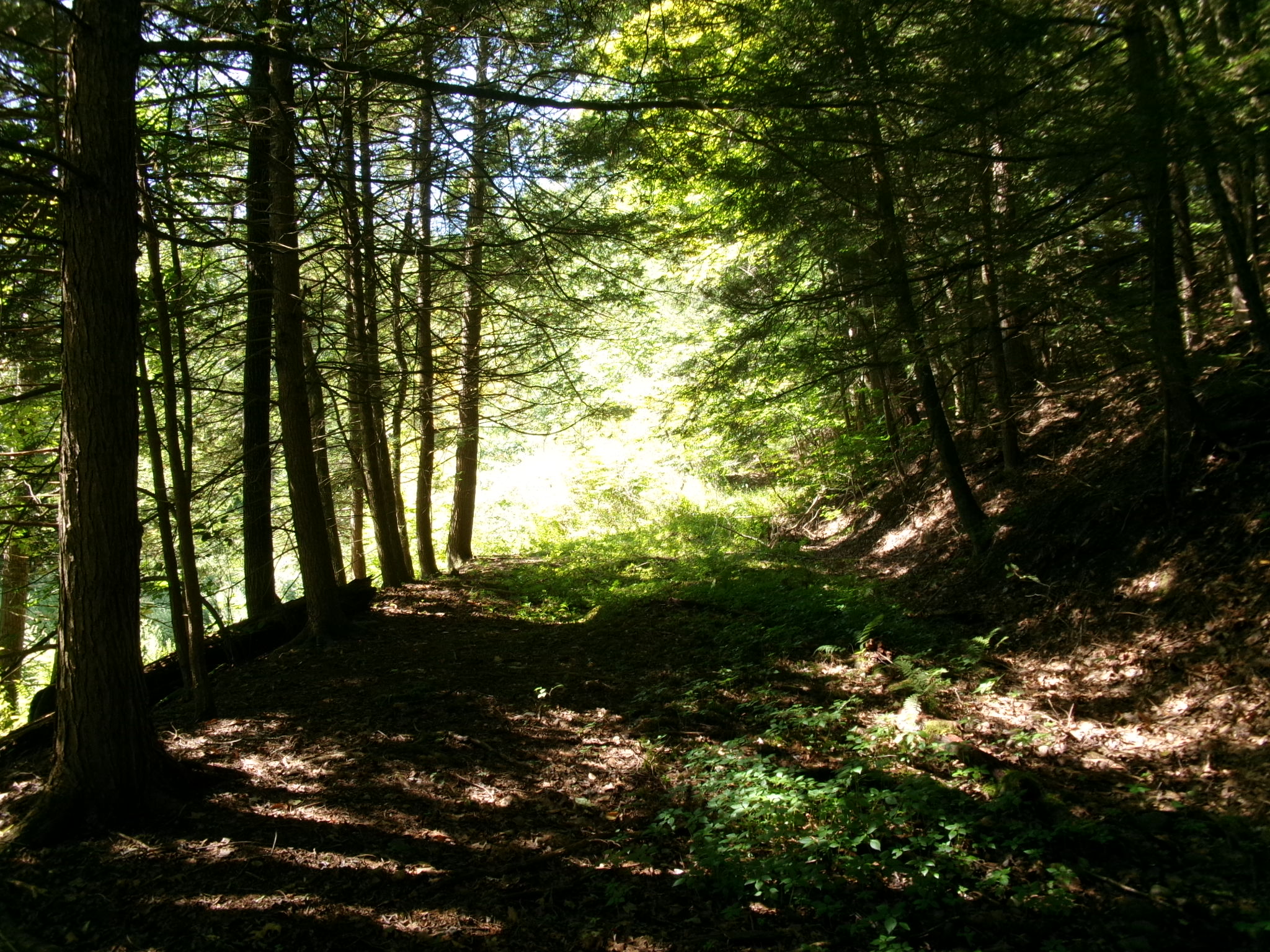 Listing Image 25