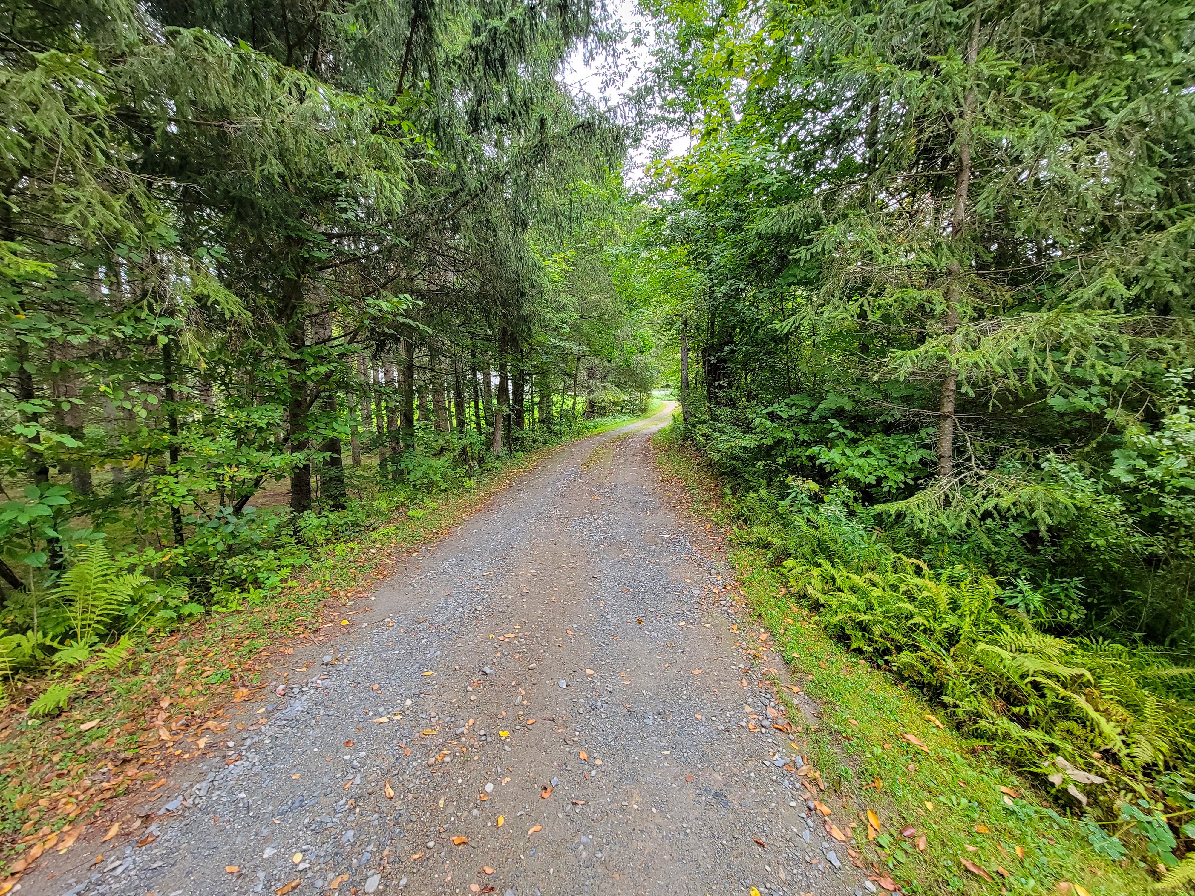 Listing Image 47
