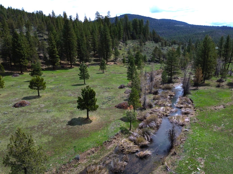 Johnson Creek Meadow