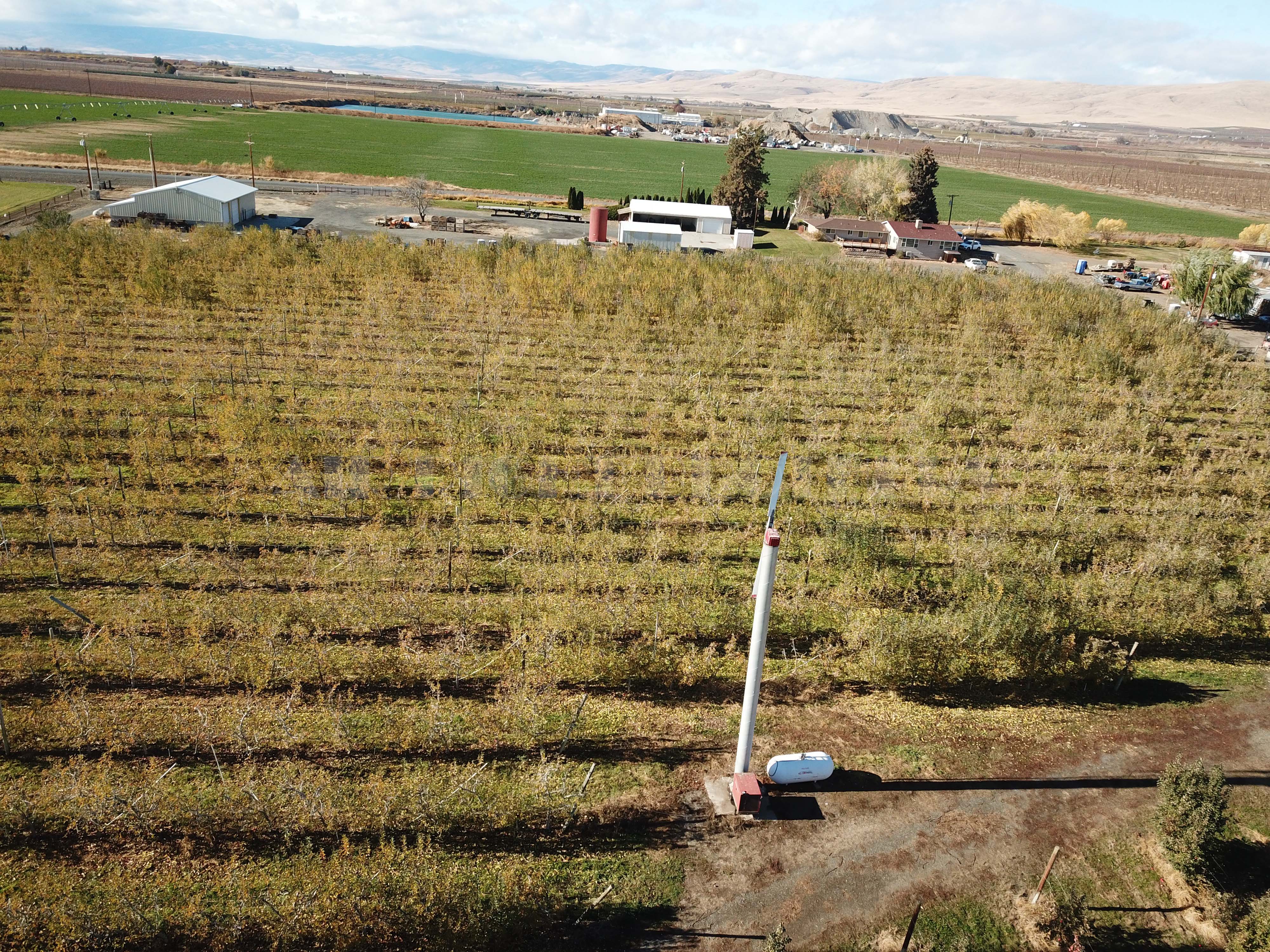 Apple Orchard w Equipment, House and Shops!