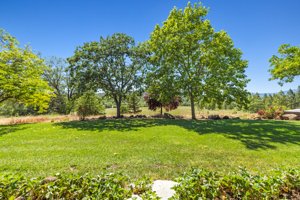 800 Hillandale Circle