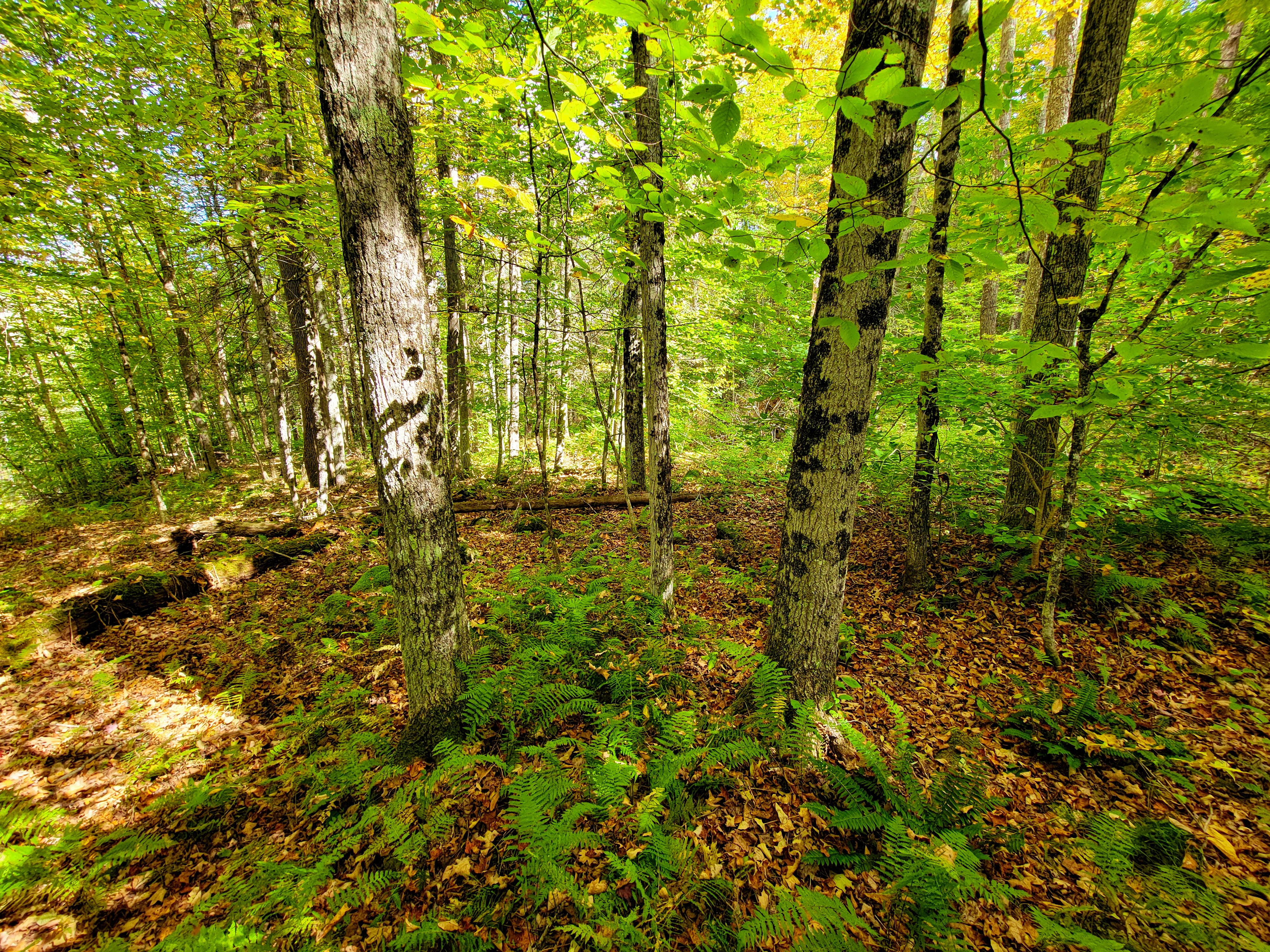 Listing Image 43