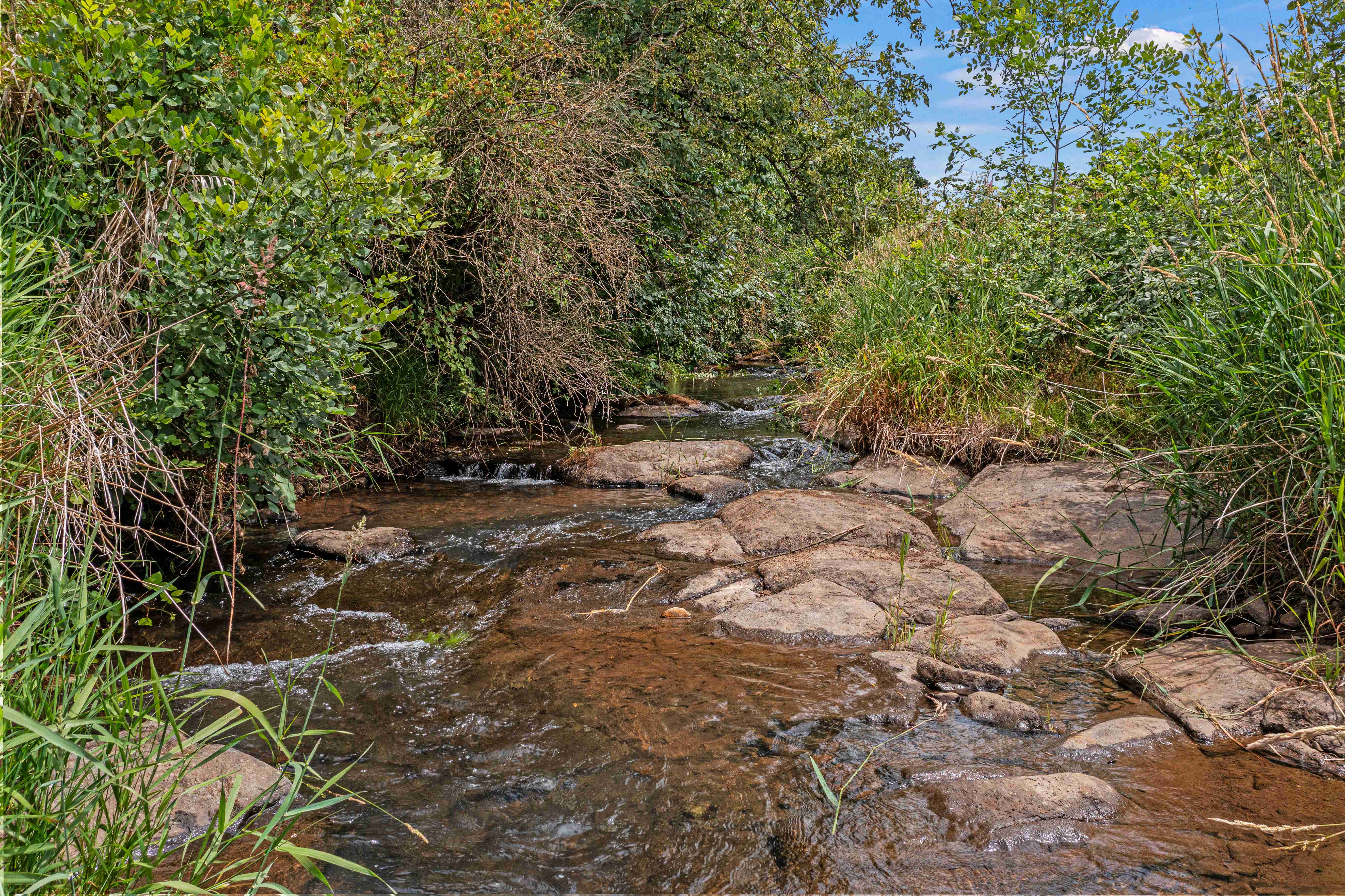 Sublimity 152 — Productive Willamette Valley Farm for Sale with Creek Frontage and Homesite Potential