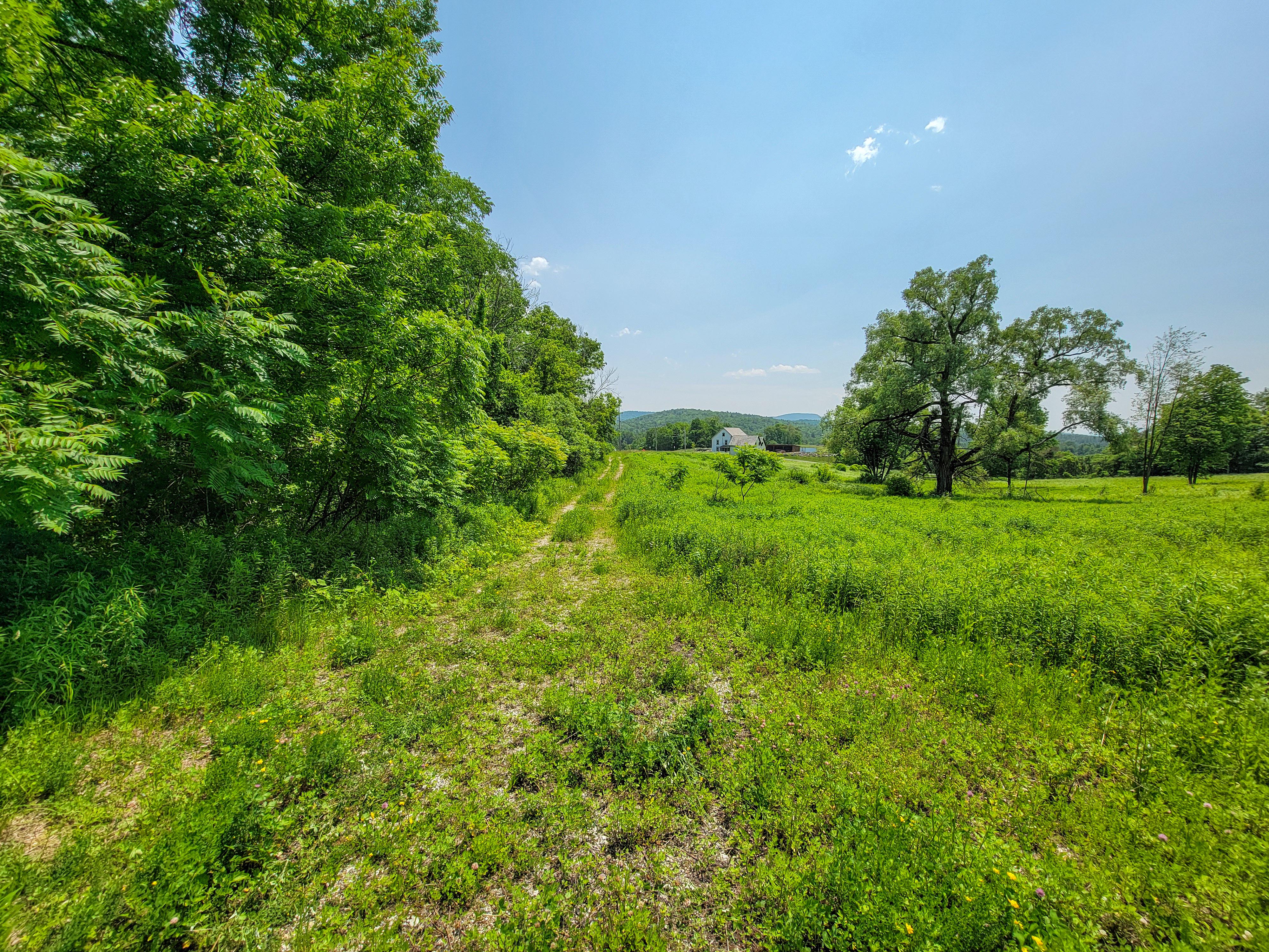 21 Nickerson Rd - Brandon