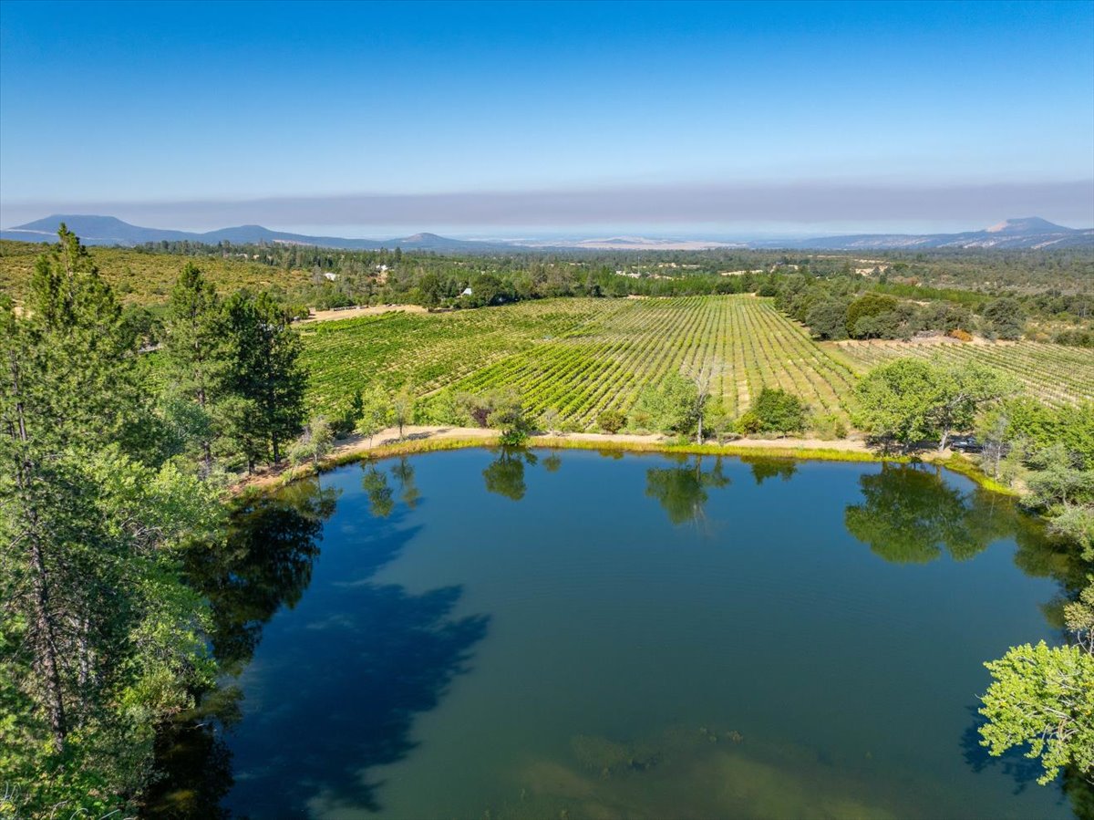 Alger Vineyards and More