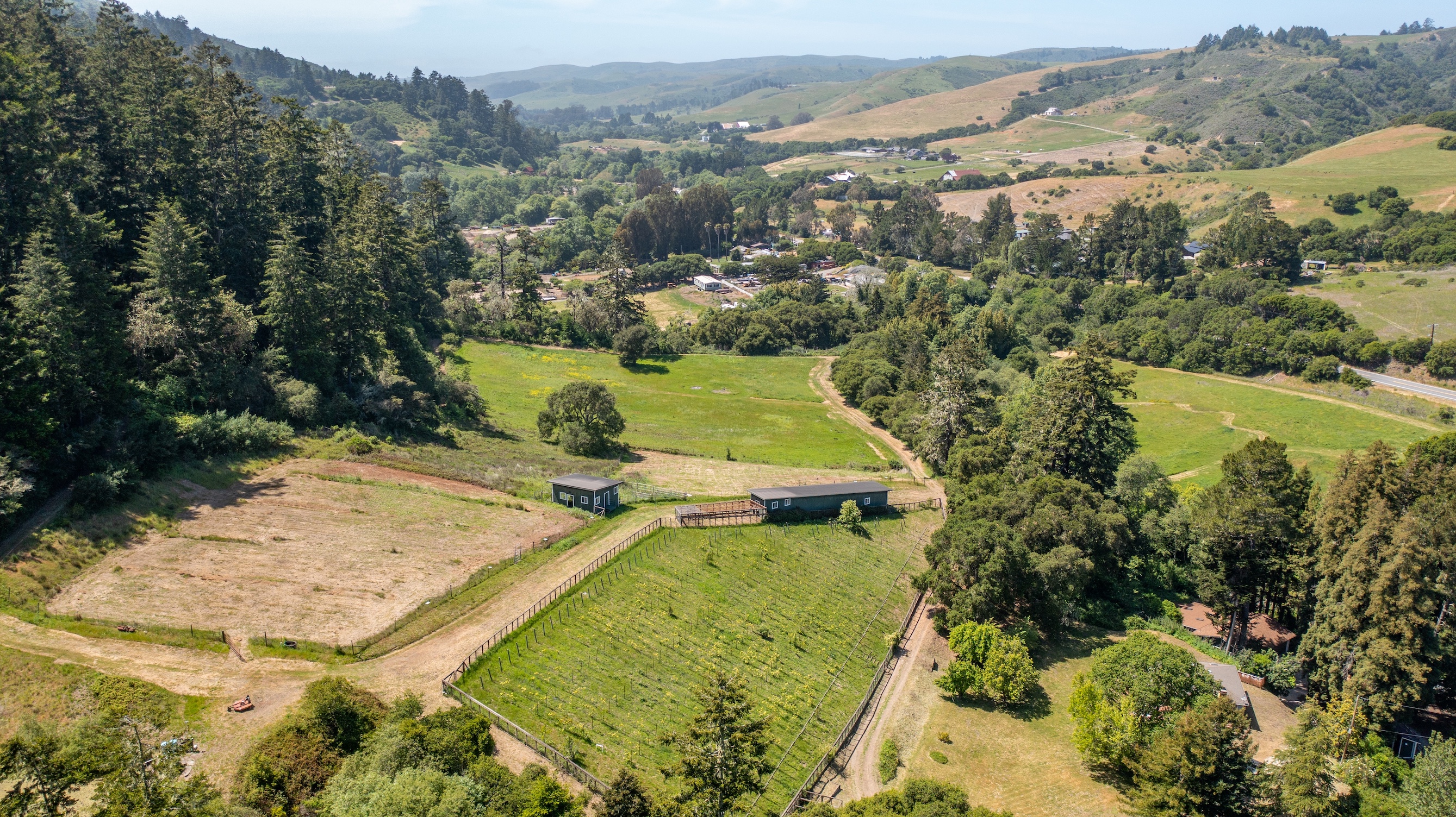 San Gregorio Creekside Farm