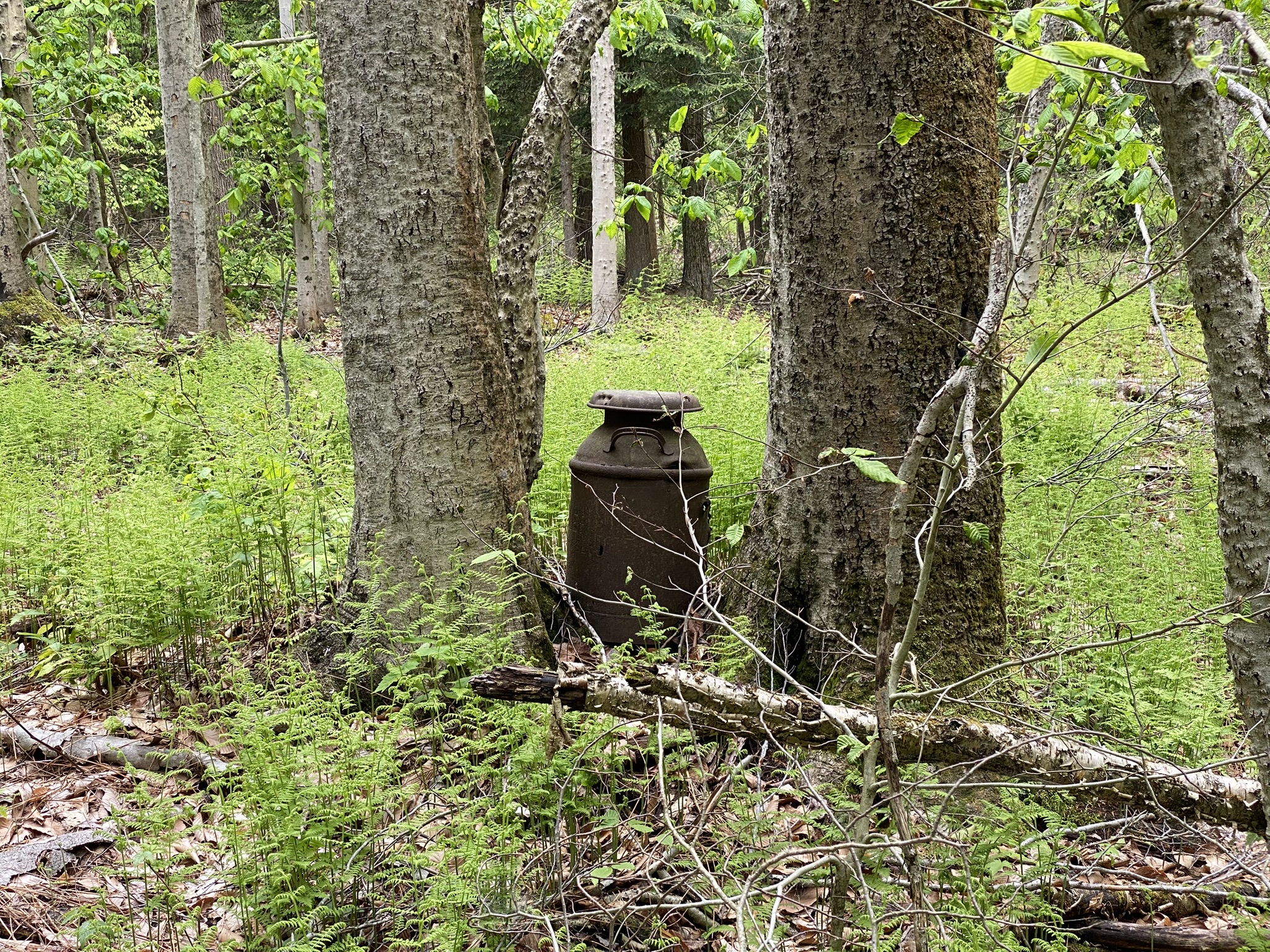 Little Salmon River Country