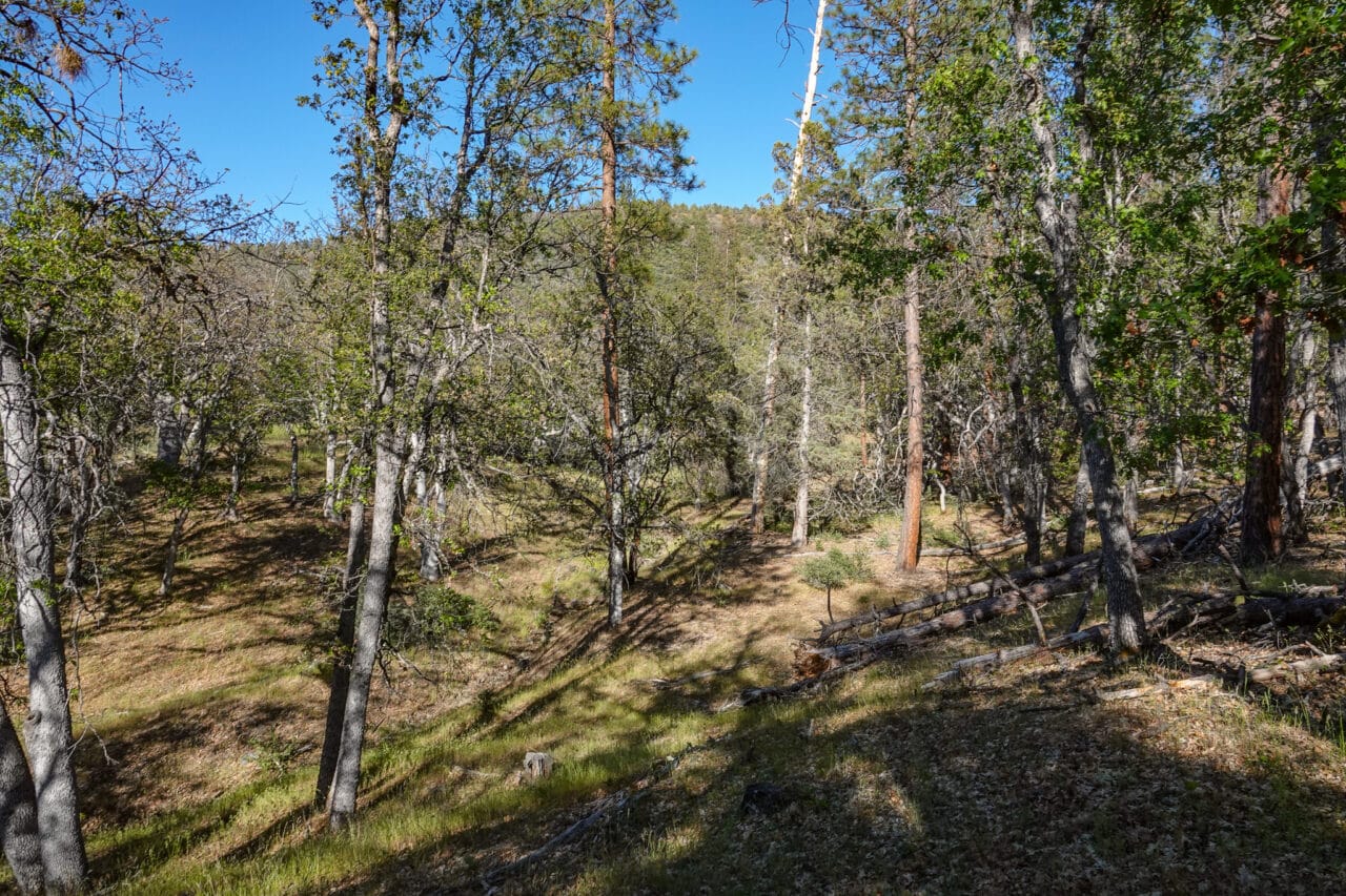 Listing Image 17