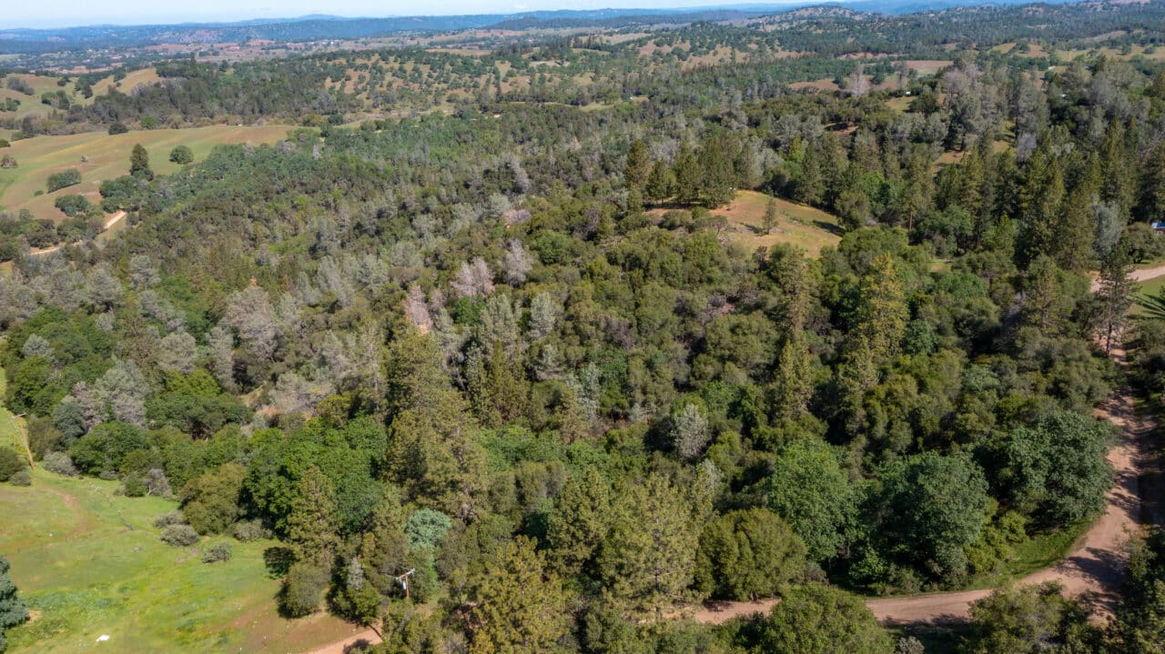 Trembath Mountain Vista