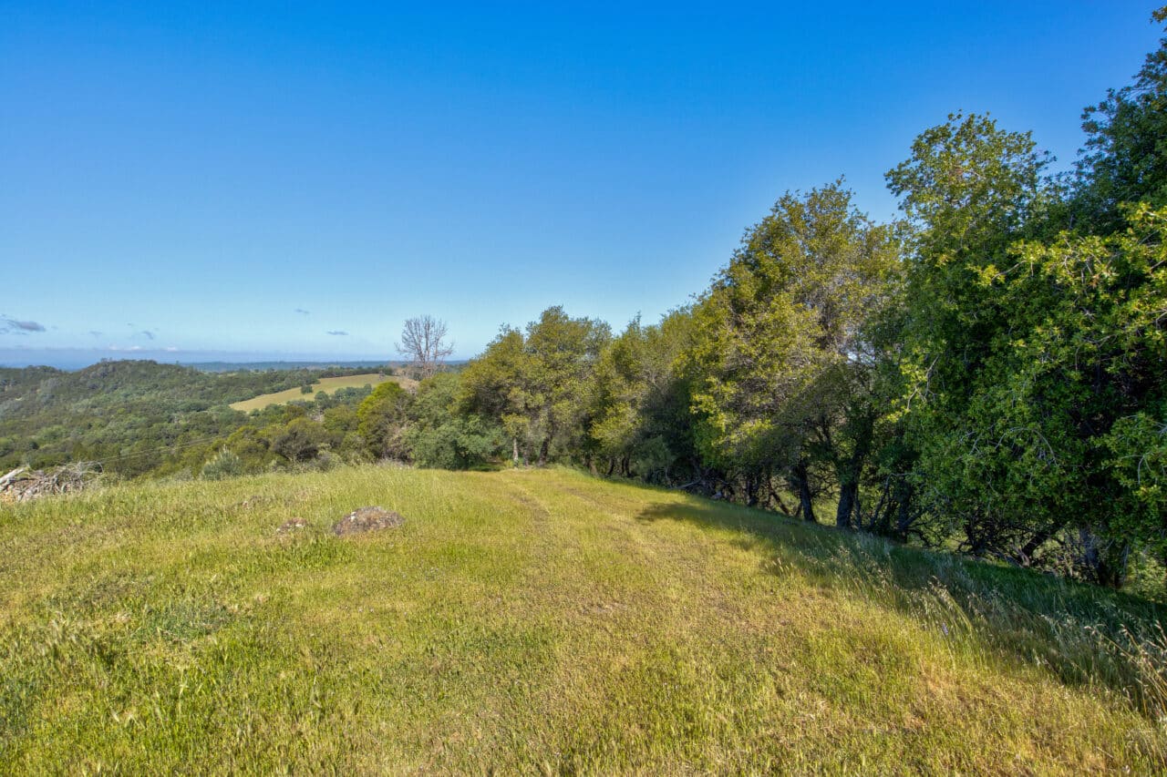 Trembath Mountain Vista