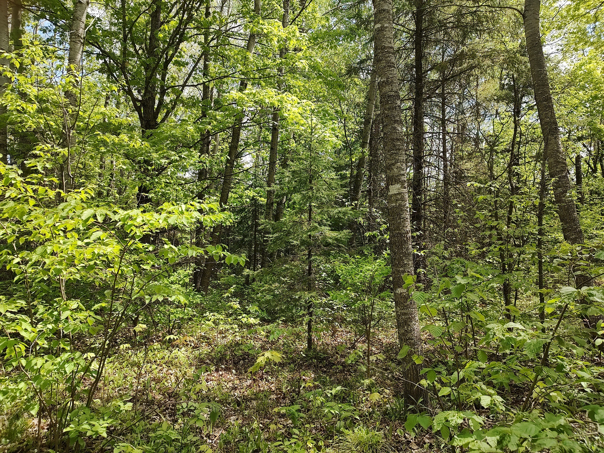 160 Acre Wilderness Retreat 50175391
