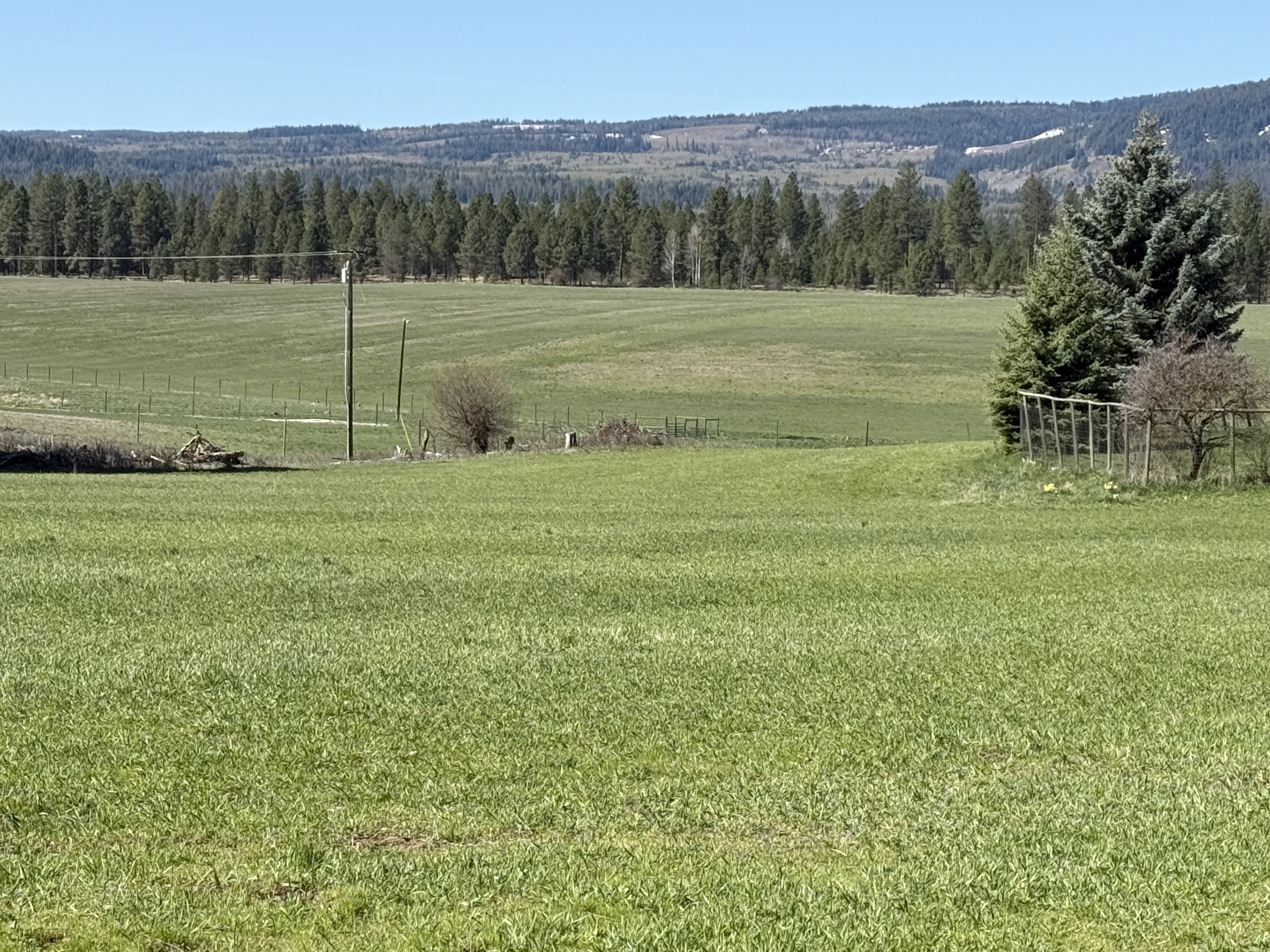 Cattle ranch/Hobby farm