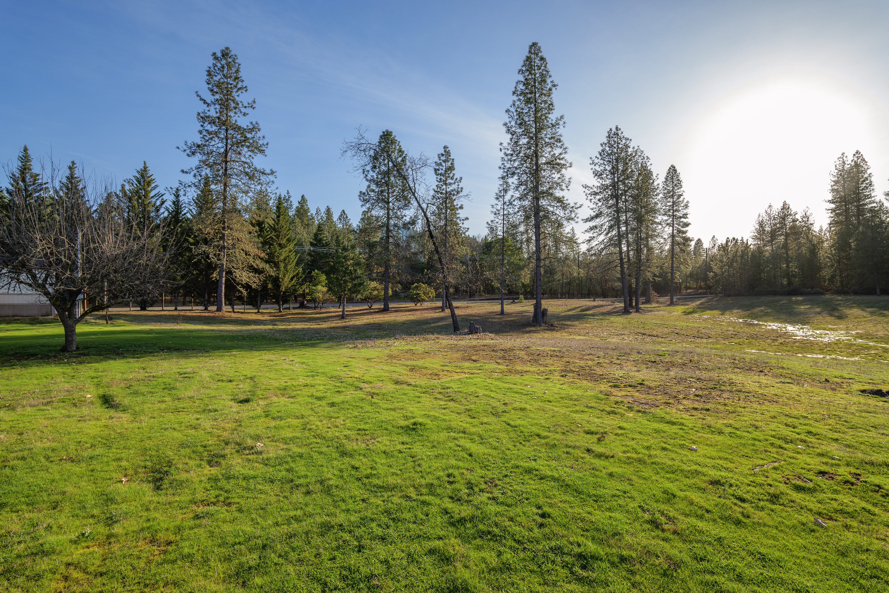 Listing Image 56