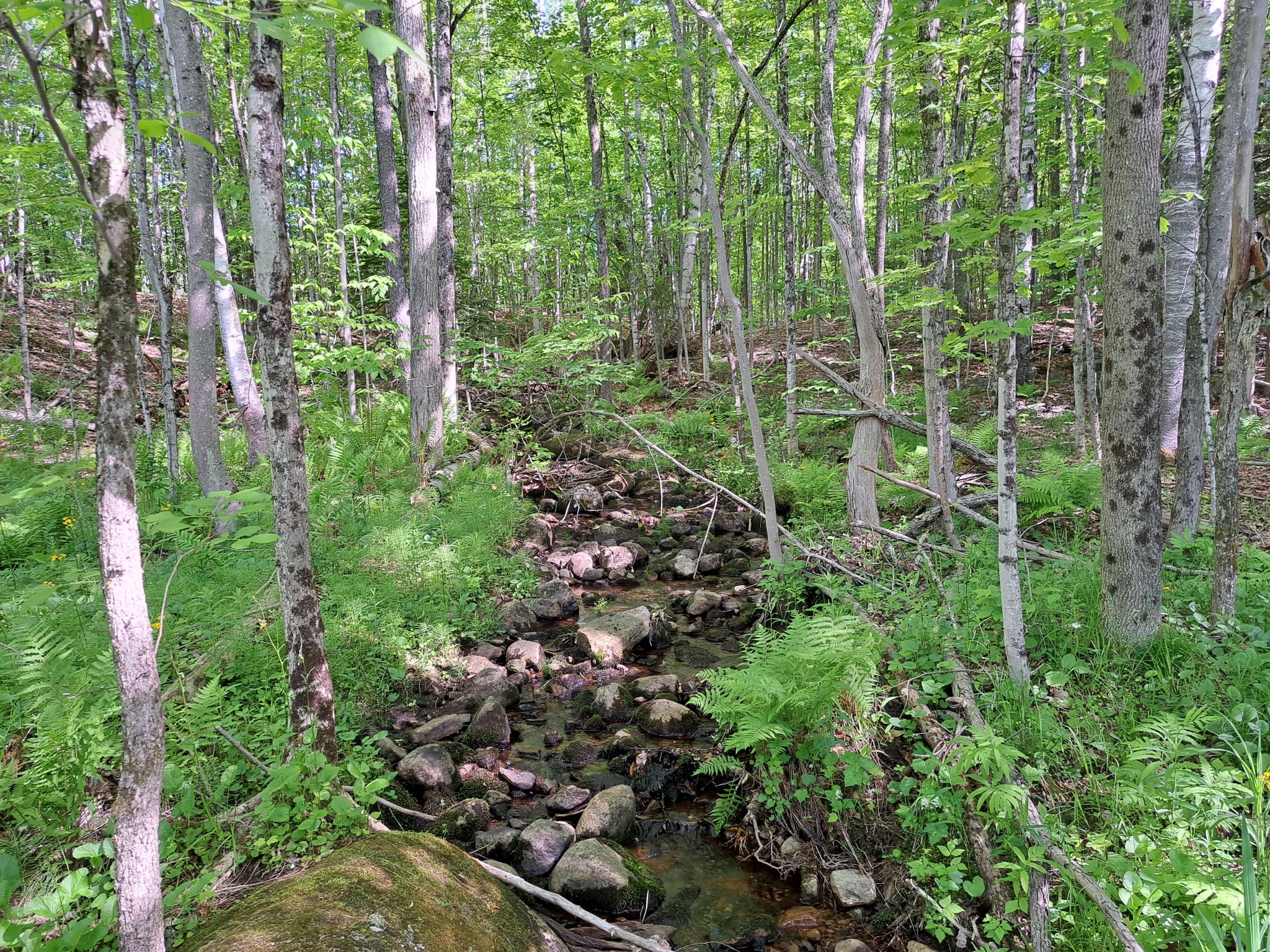 Listing Image 77