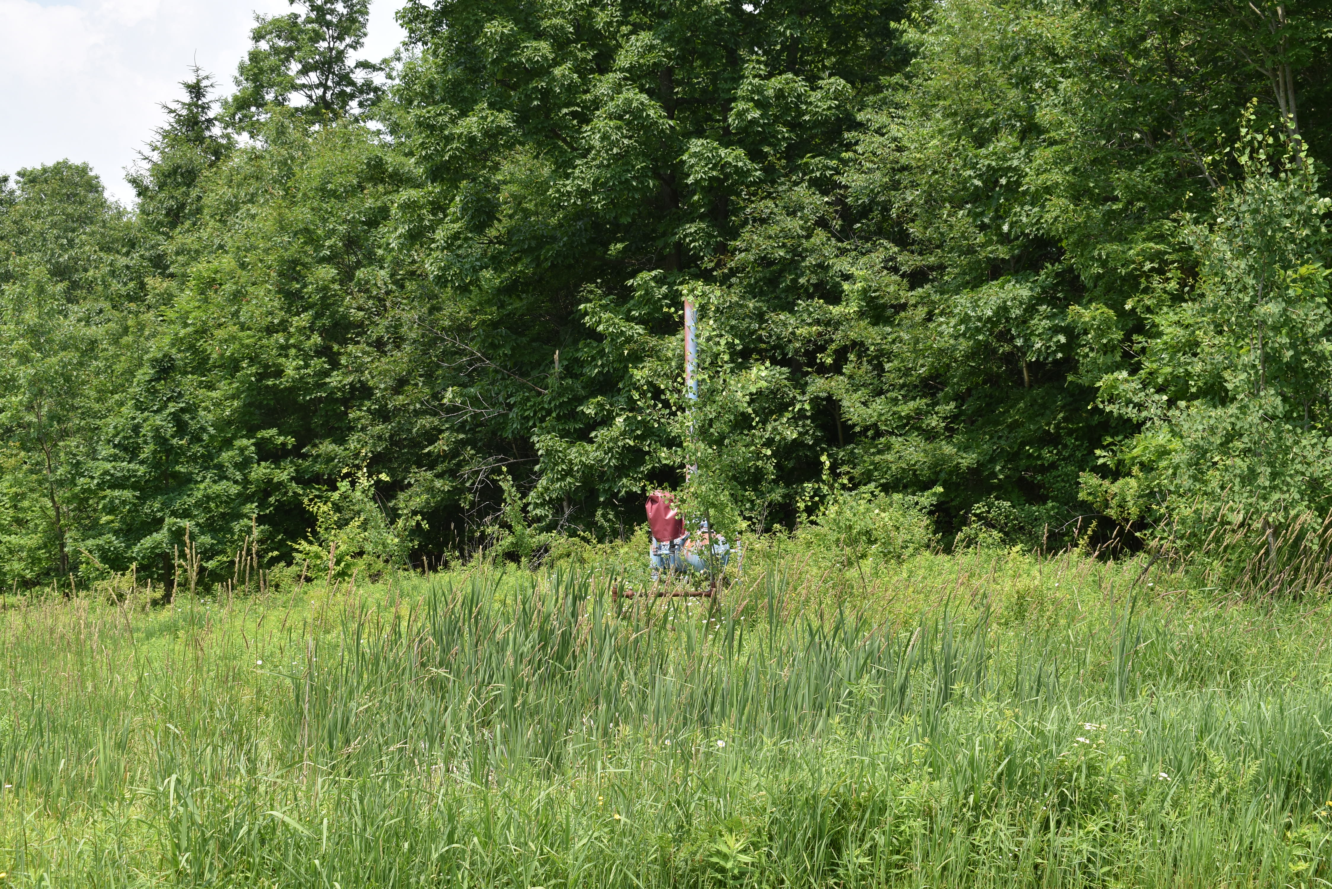 Listing Image 37