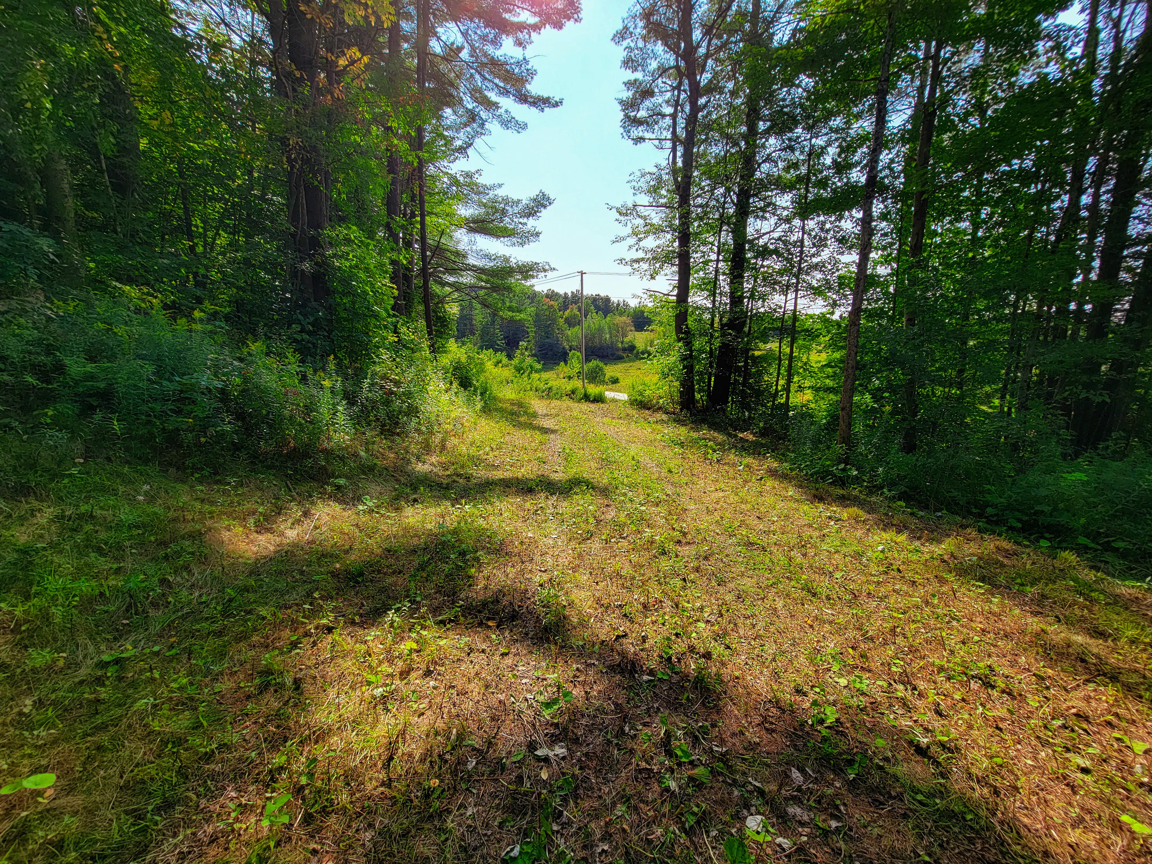 Listing Image 25