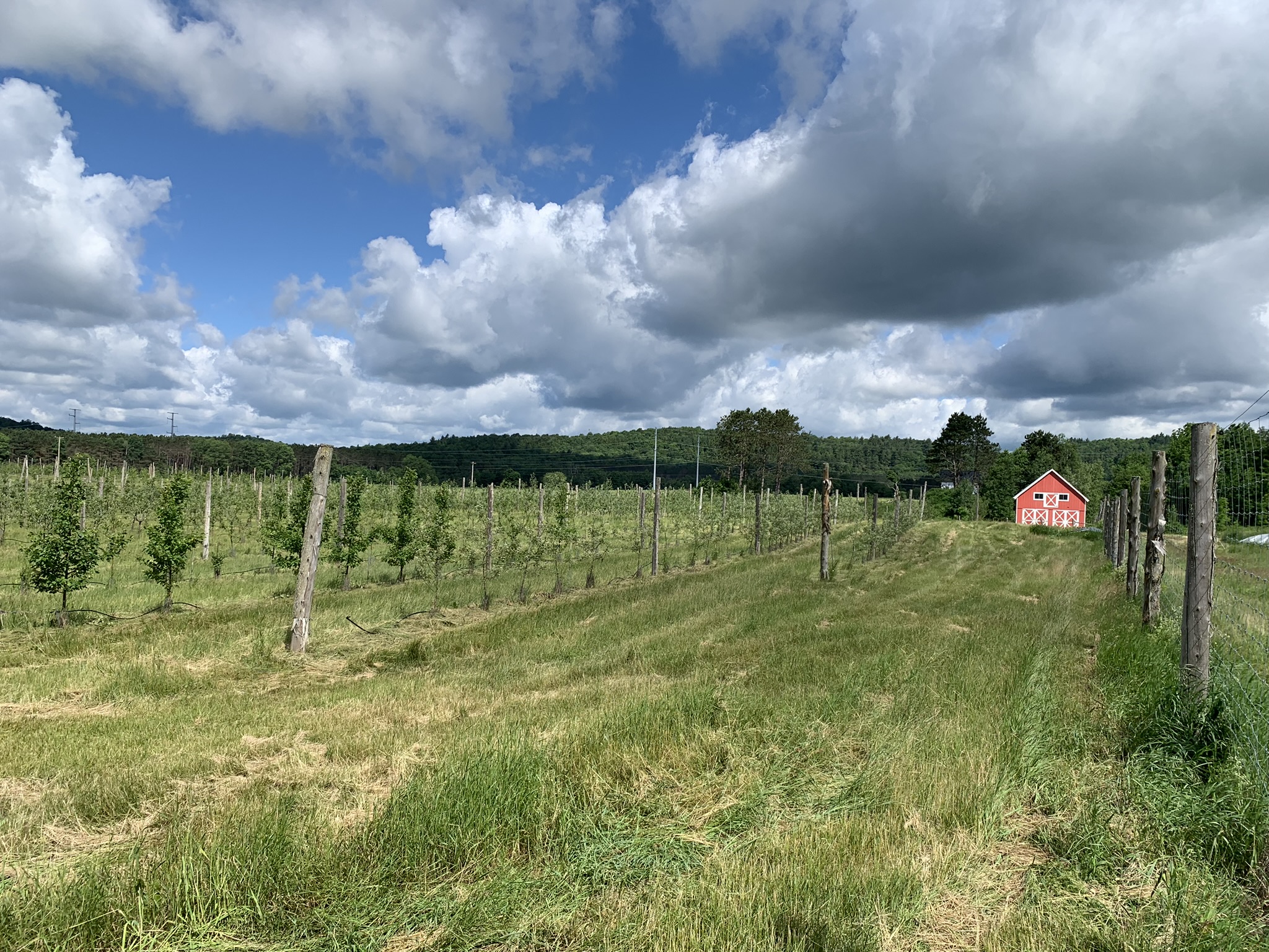 Listing Image 12