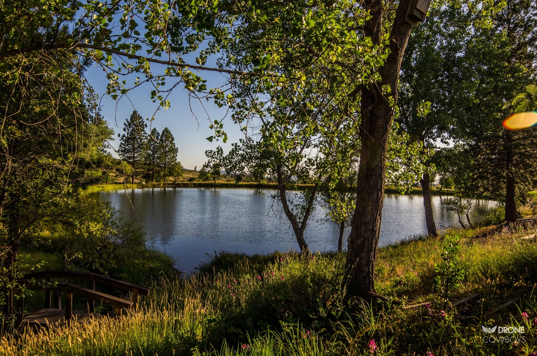 Alger Vineyards and More