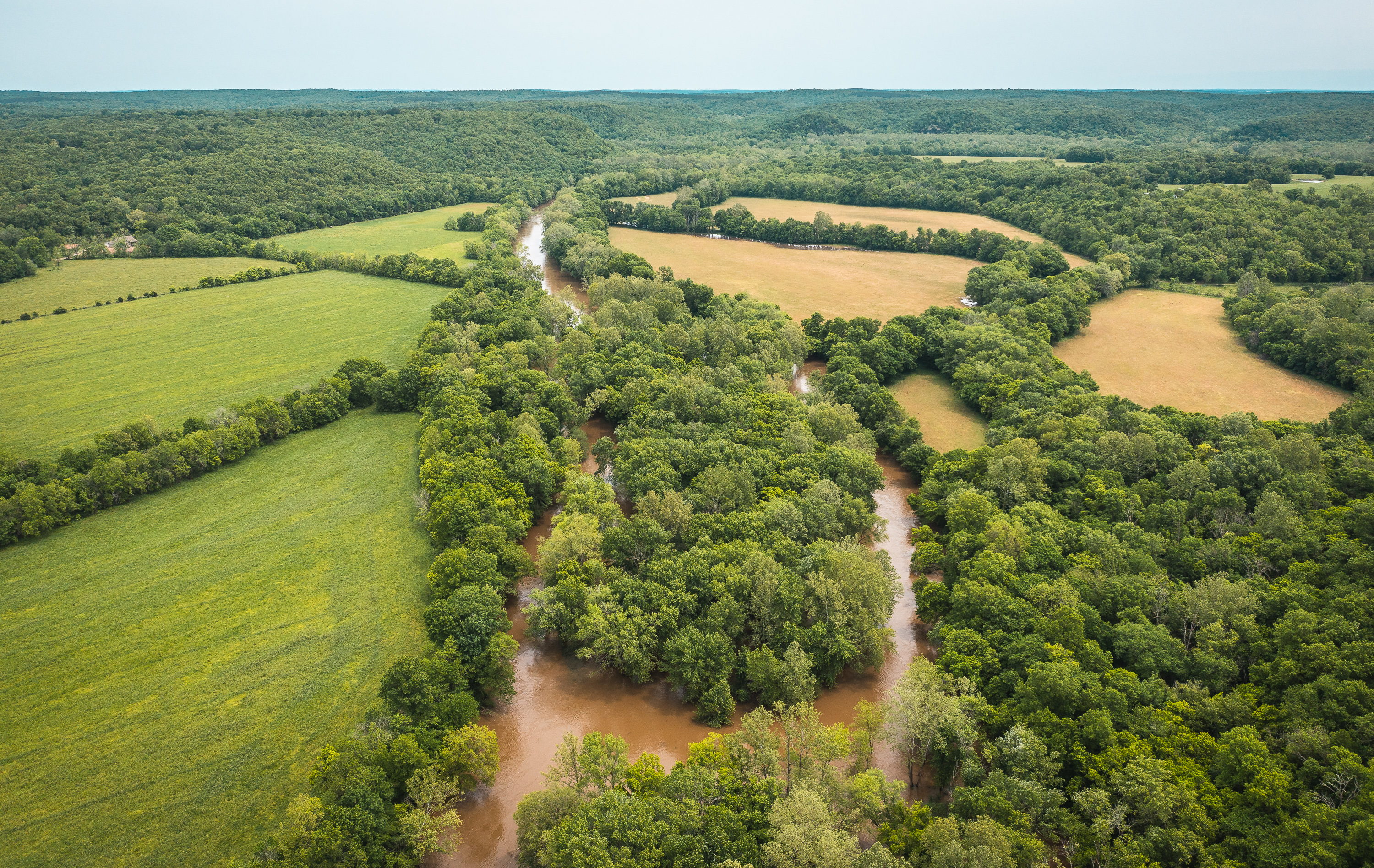Gasconade Angus Ranch