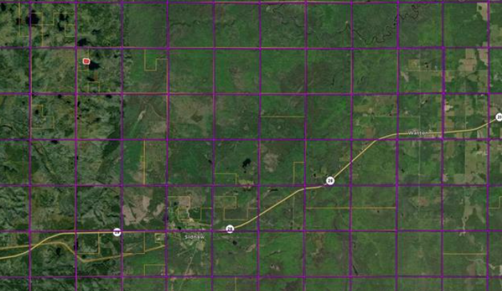 Listing Image 19