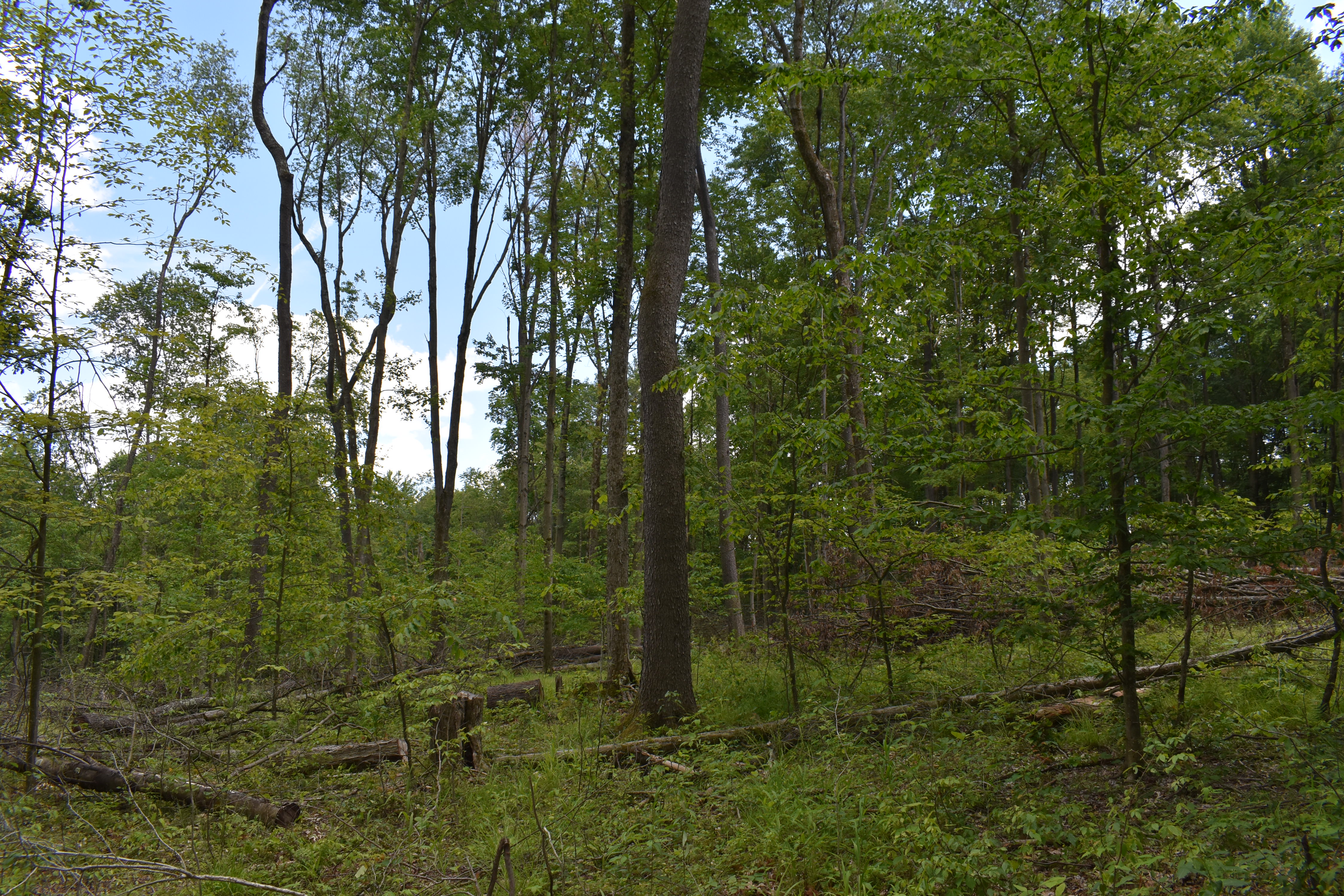 Listing Image 27
