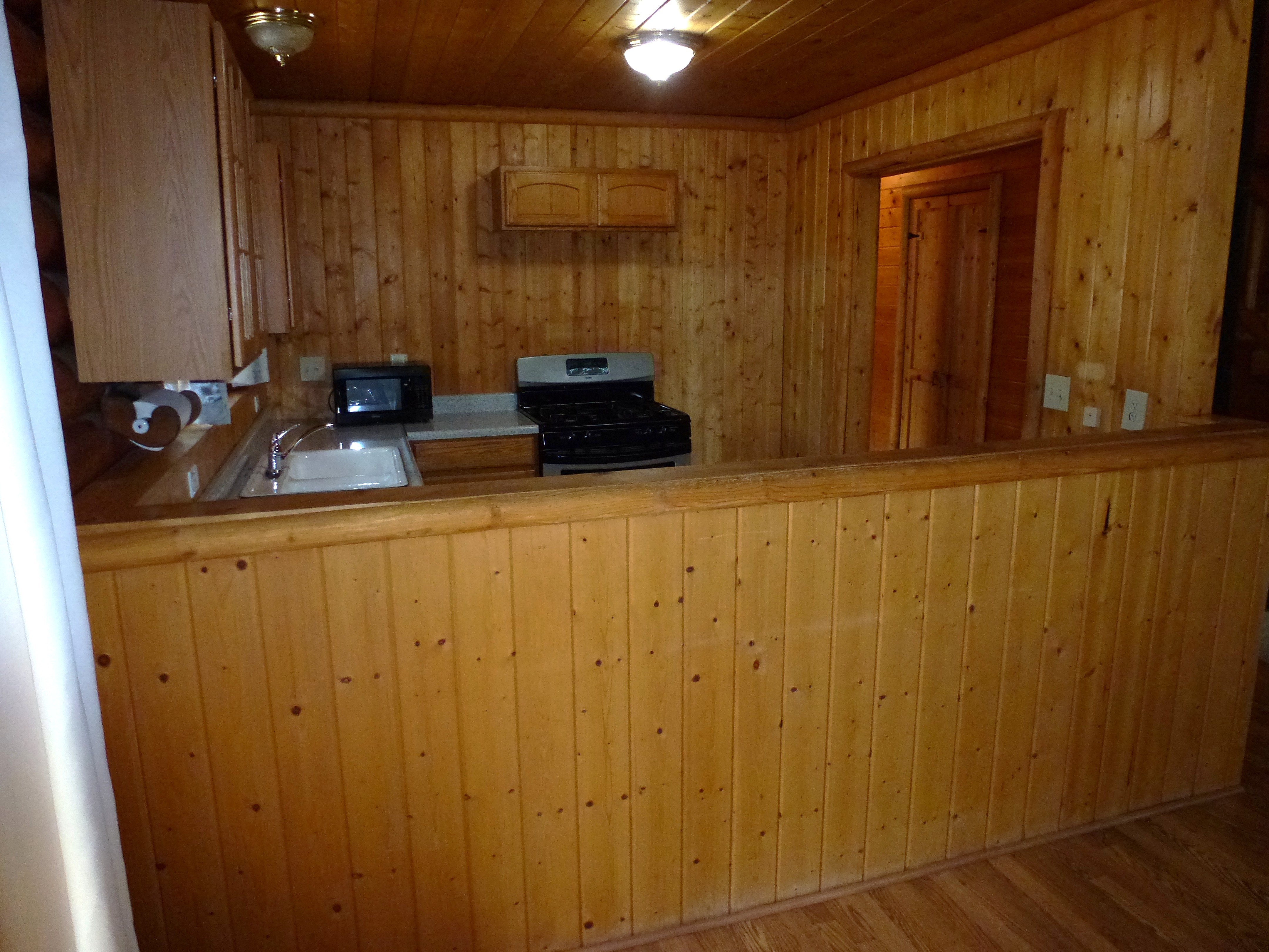 Log Home in the Pines