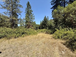 5 Acres-Hwy 238 Applegate, OR
