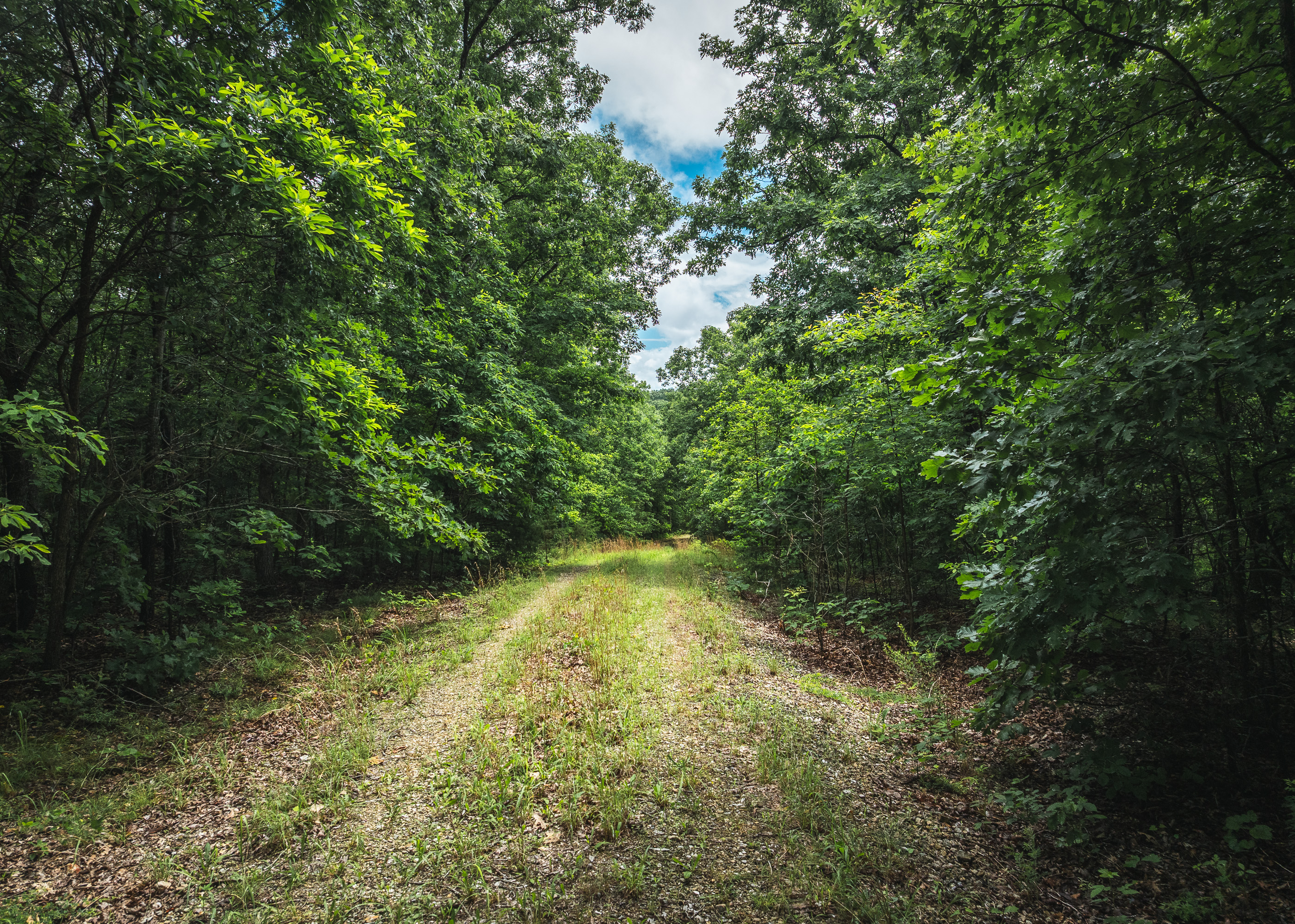 Bucks Crossing