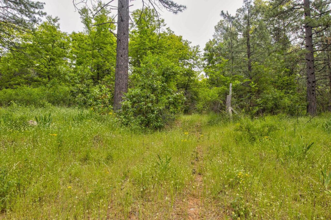 Foresthill Divide