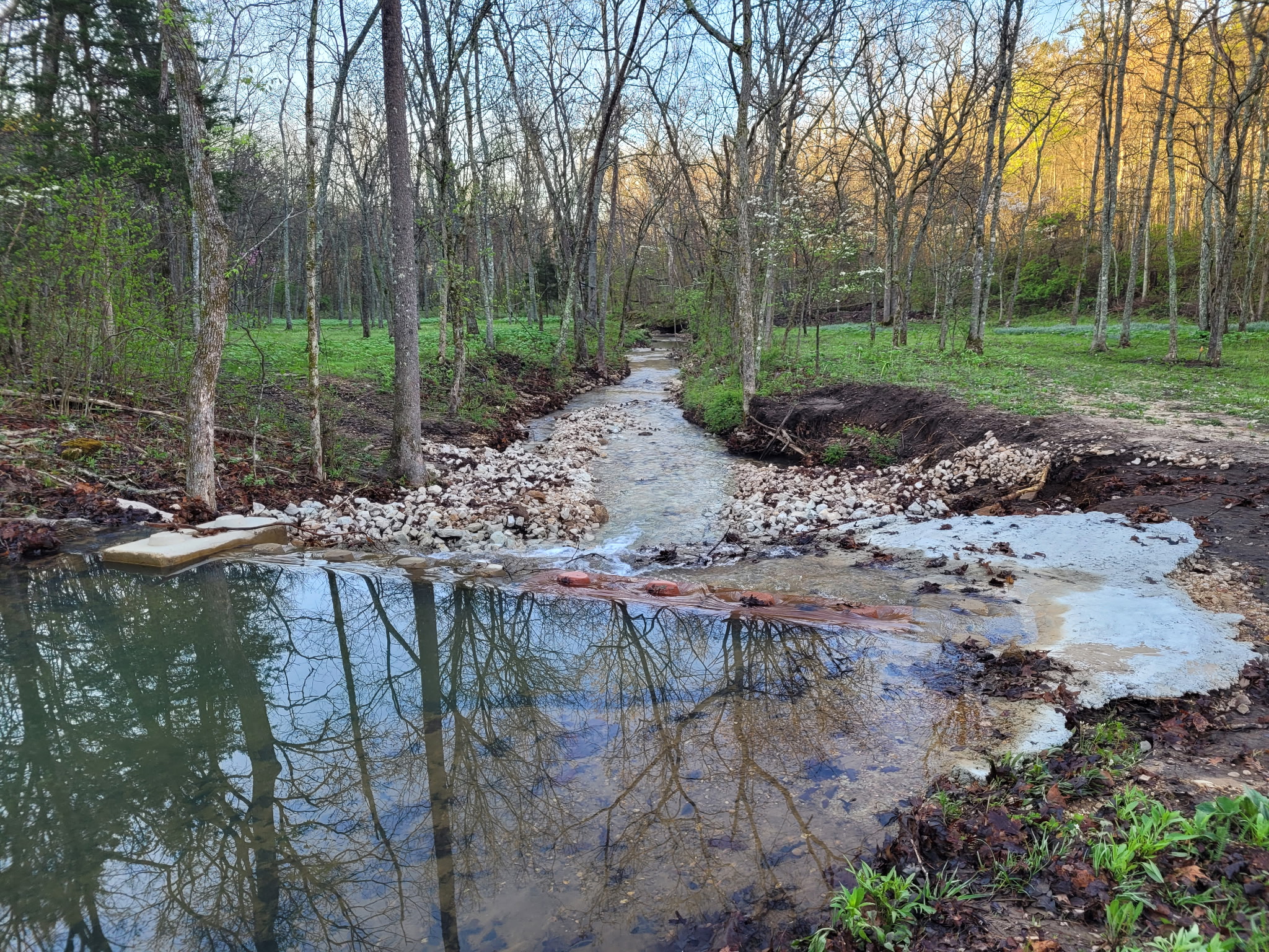 Curly Holt Camp at Peterball Spring