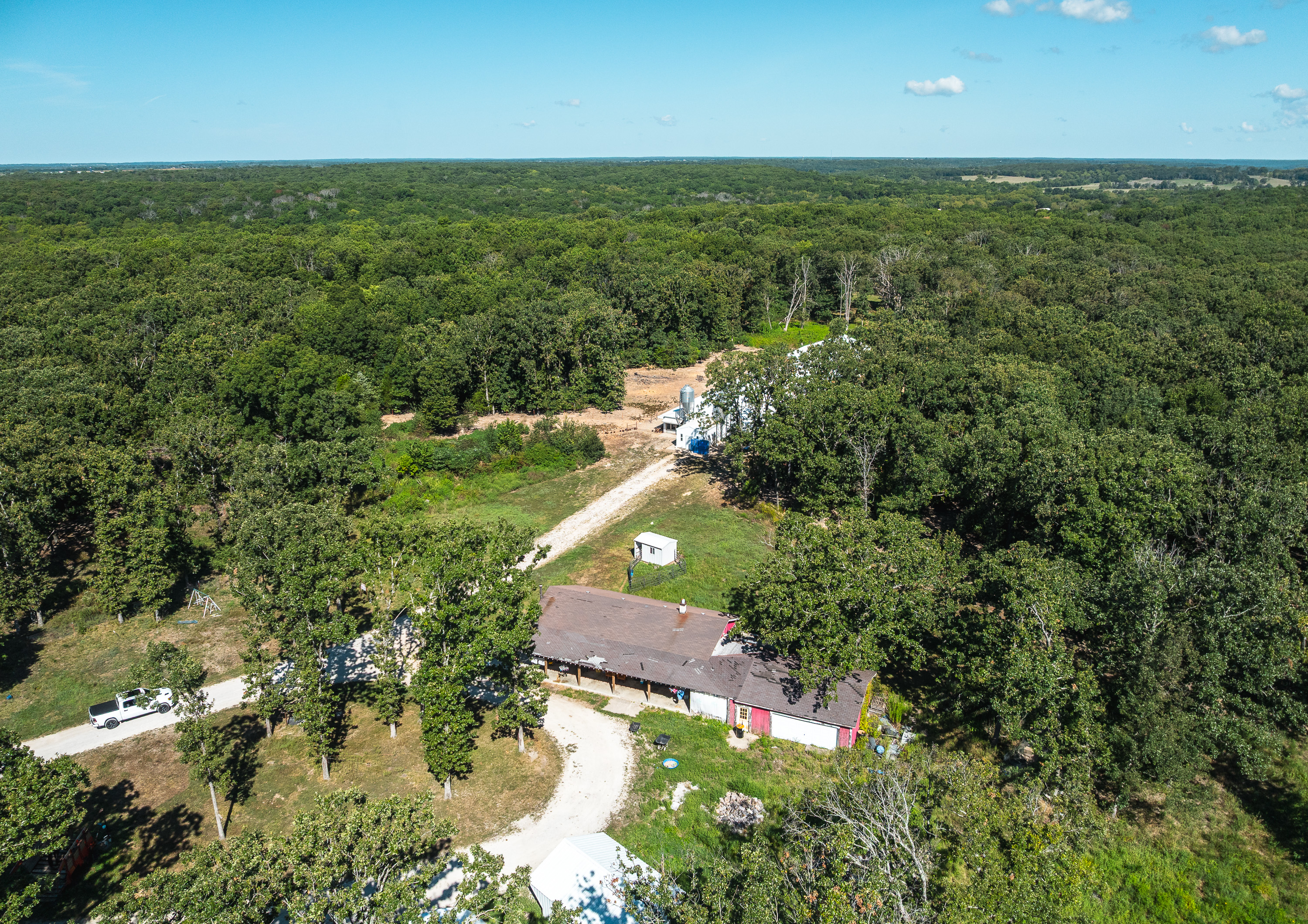 Cage Free Chicken Farm