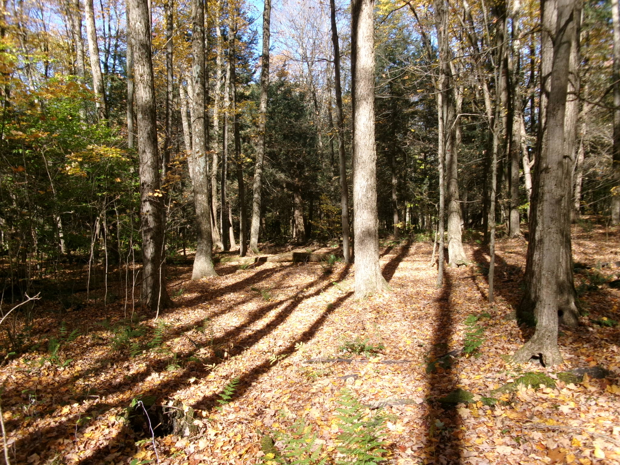 Listing Image 37