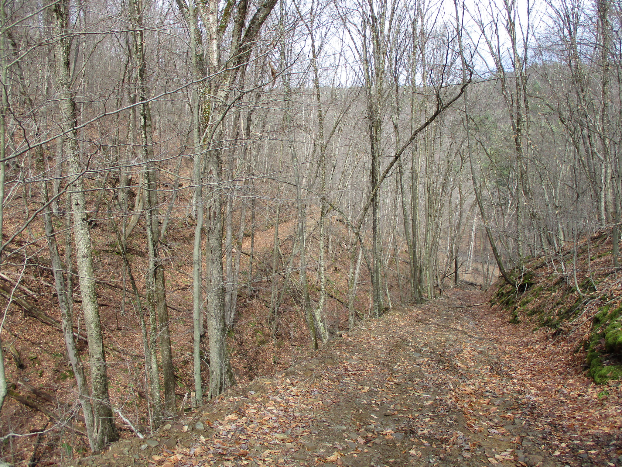 Listing Image 36