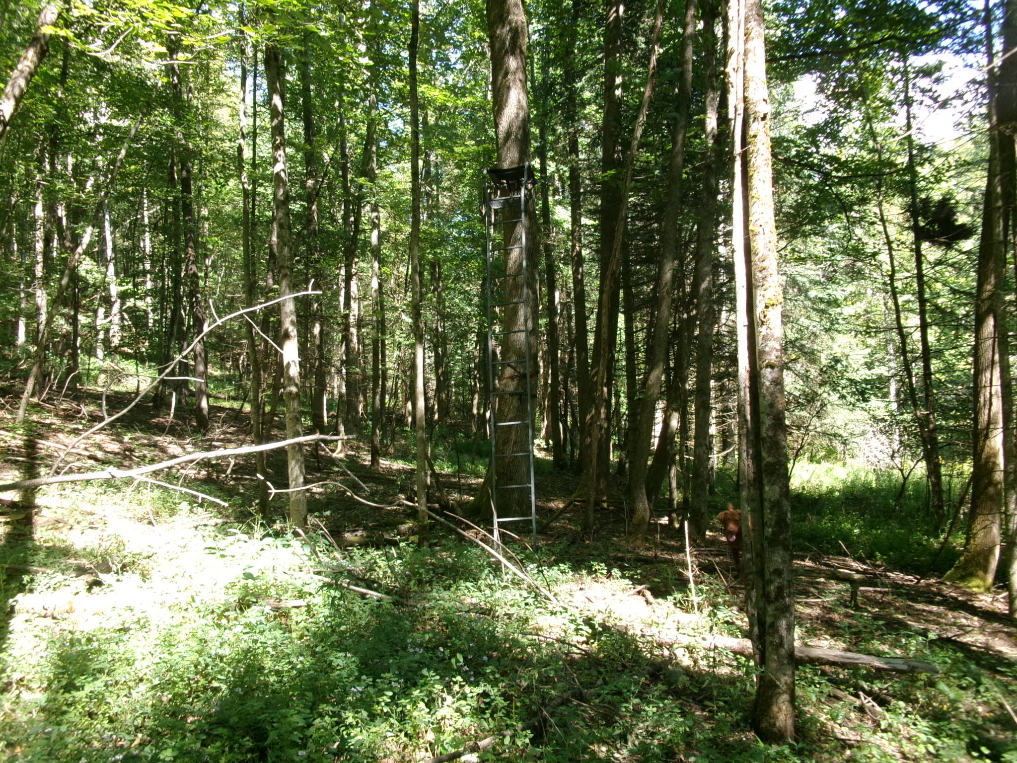 Listing Image 5