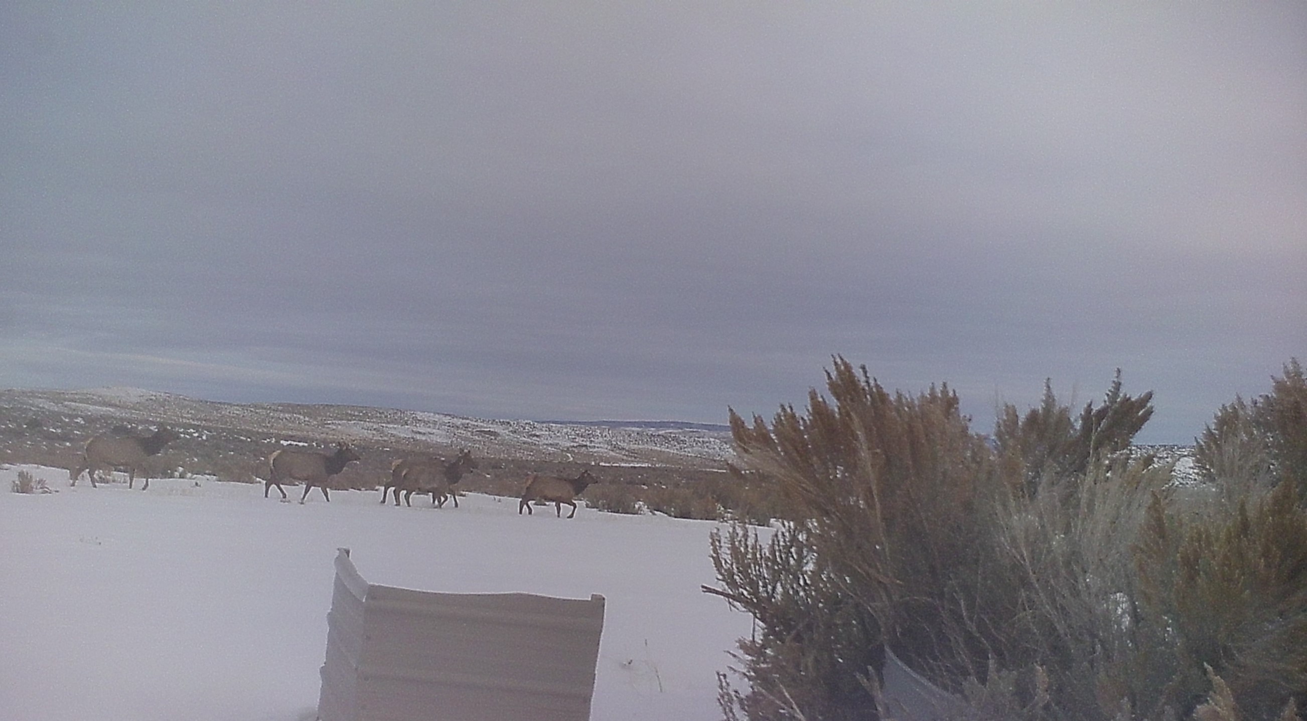 Maybell Grazing & Big Game Ranch