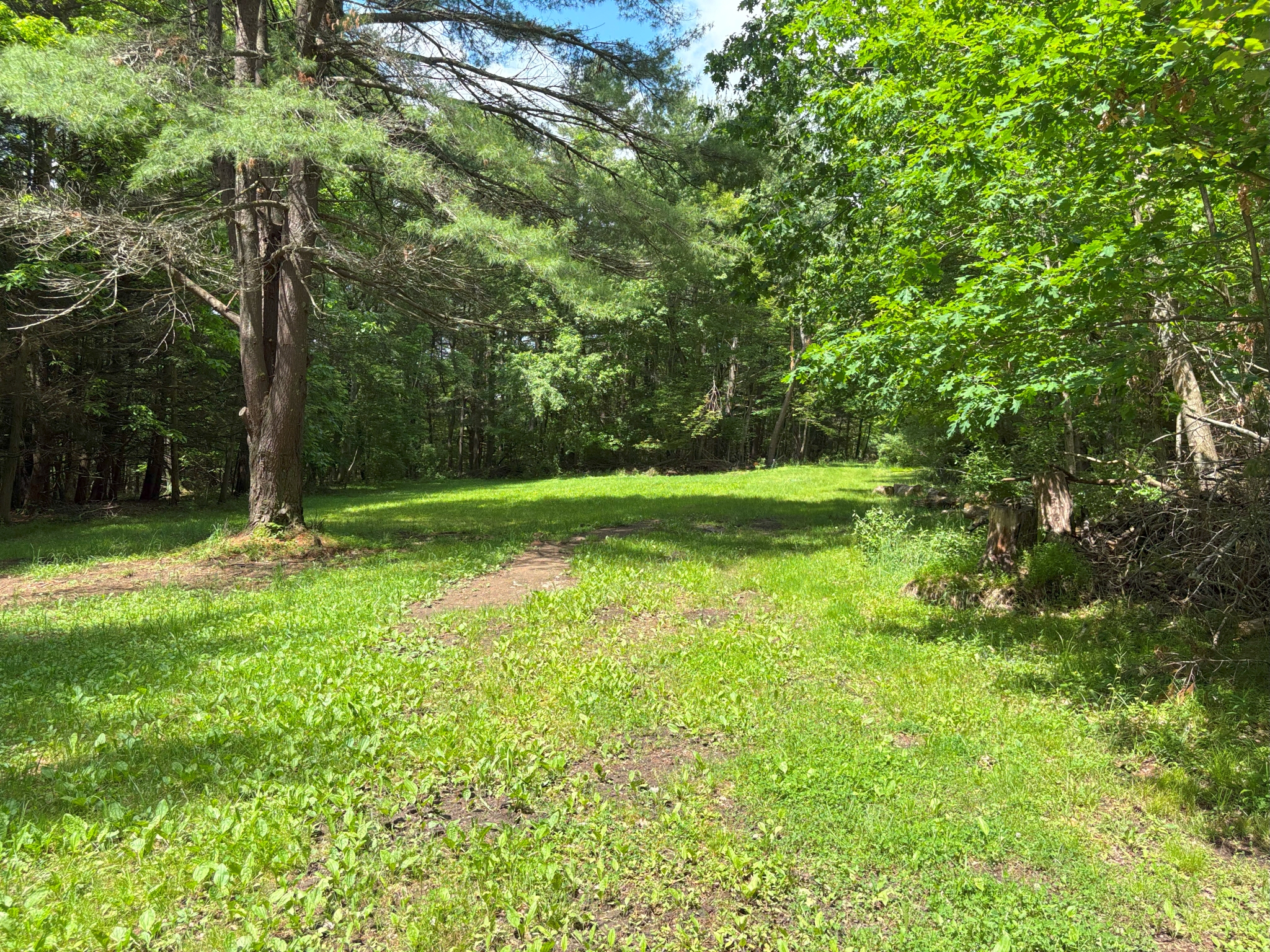 Prince Gallitzin Get-Away