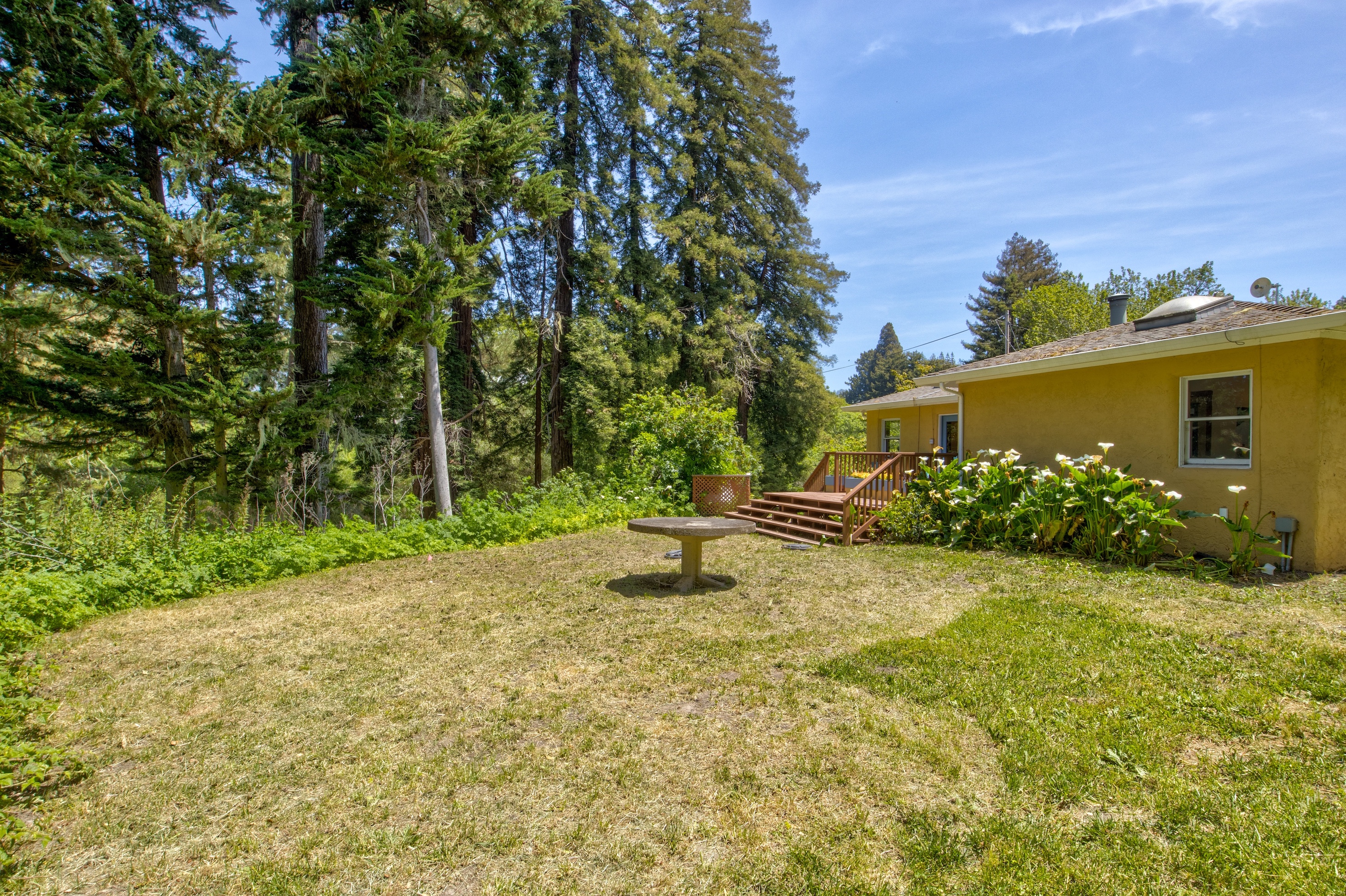 San Gregorio Creekside Farm