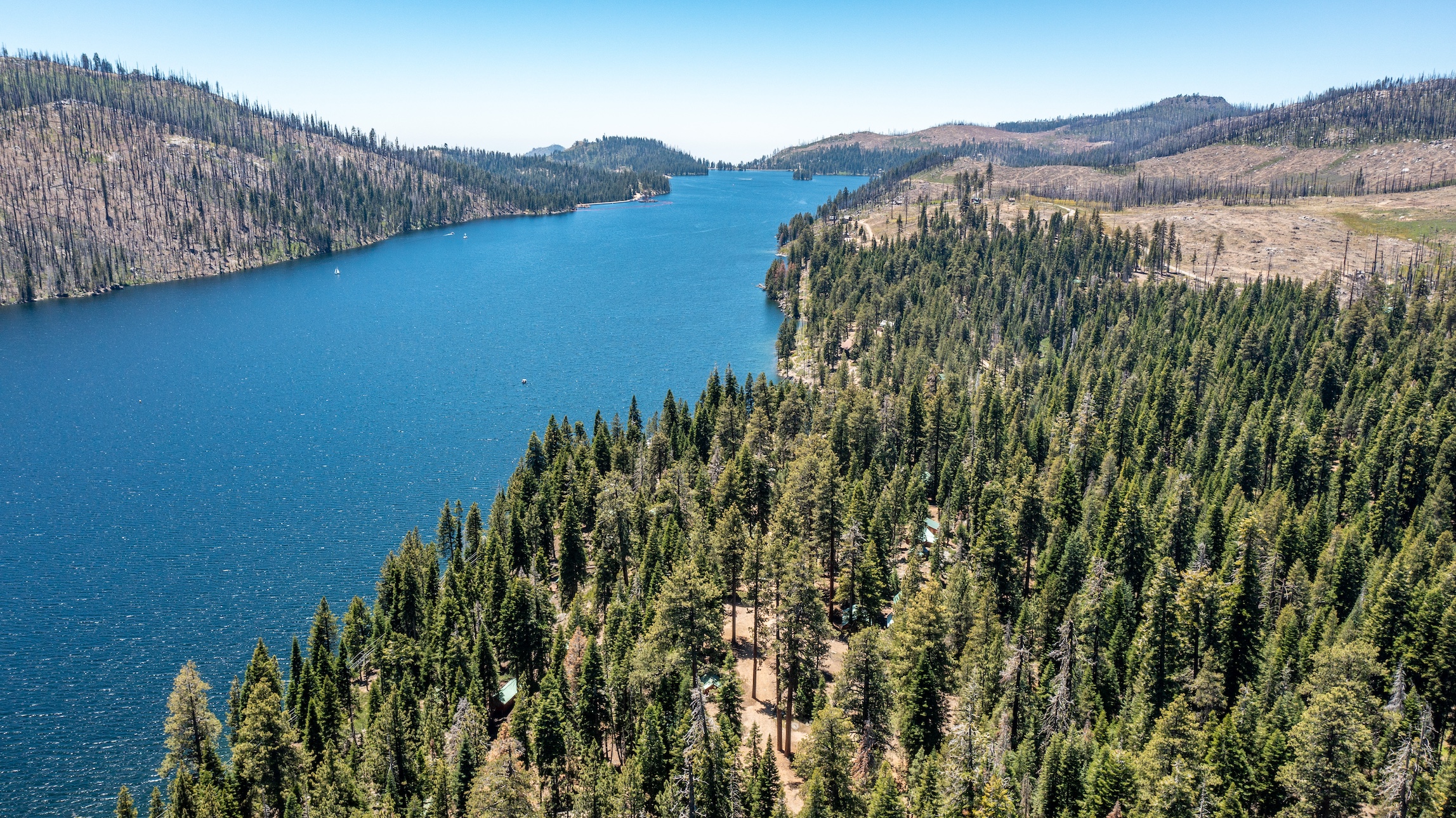Listing Image 91